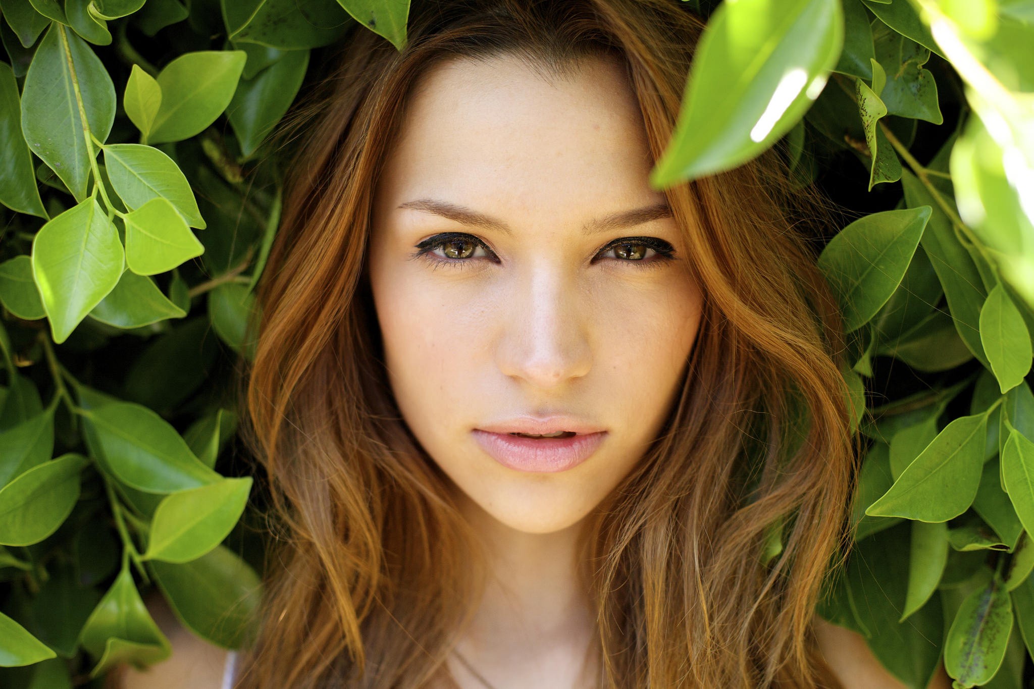Woman with brown hair surrounded by green leaves HD Wallpaper