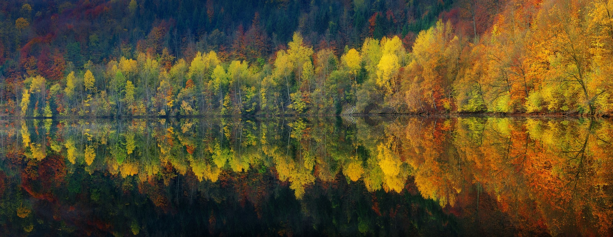 Colorful autumn forest reflected in a calm lake HD Wallpaper