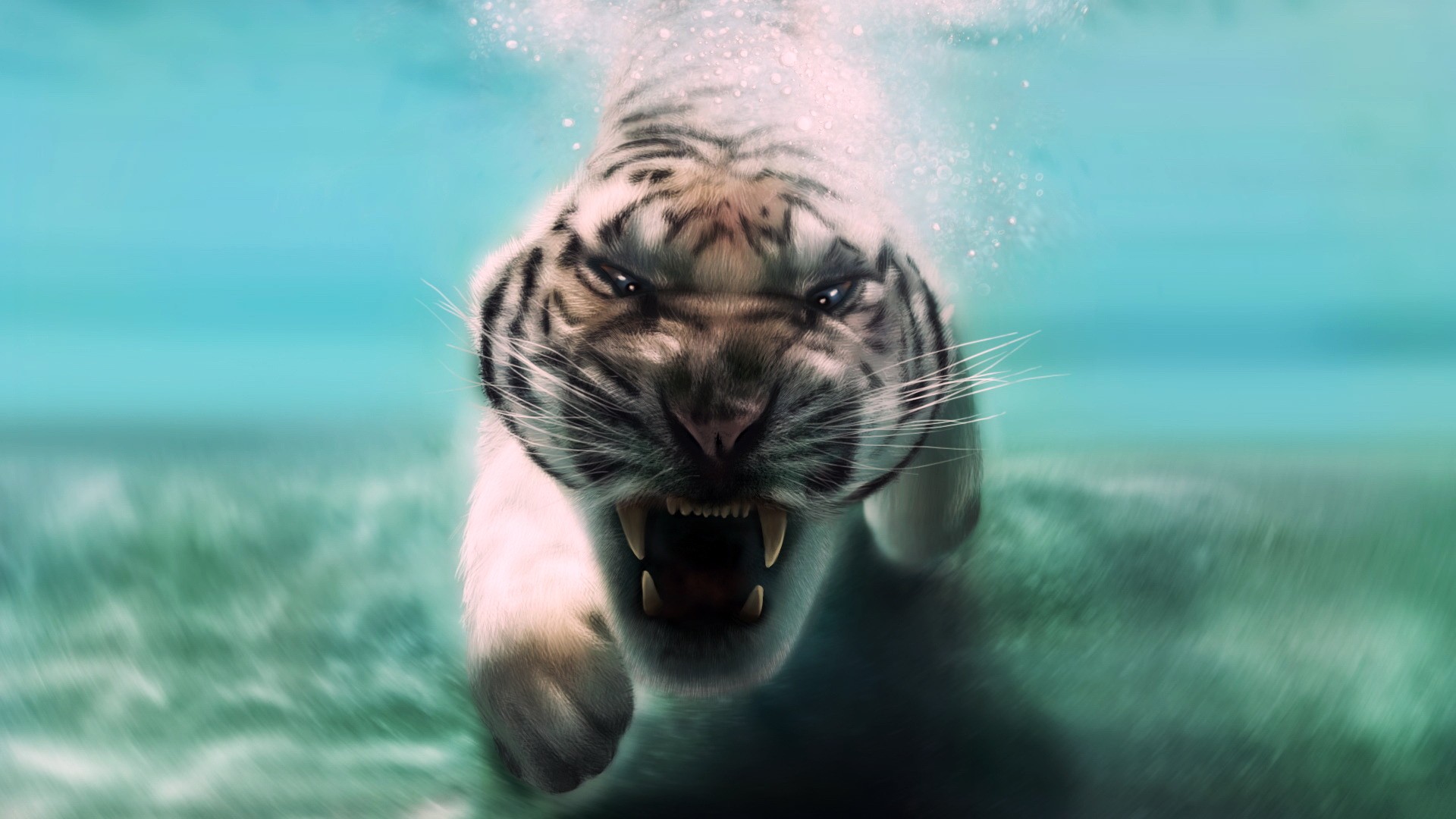 White tiger swimming underwater with mouth open HD Wallpaper
