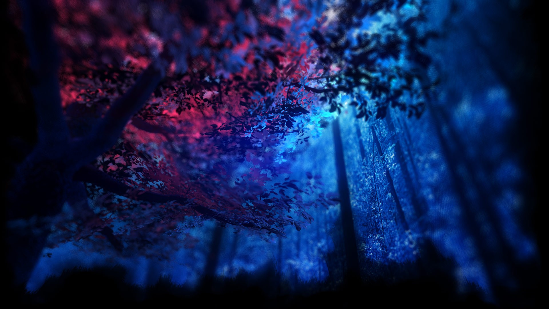 Time Rifters Forest with Pink and Blue Lights HD Wallpaper