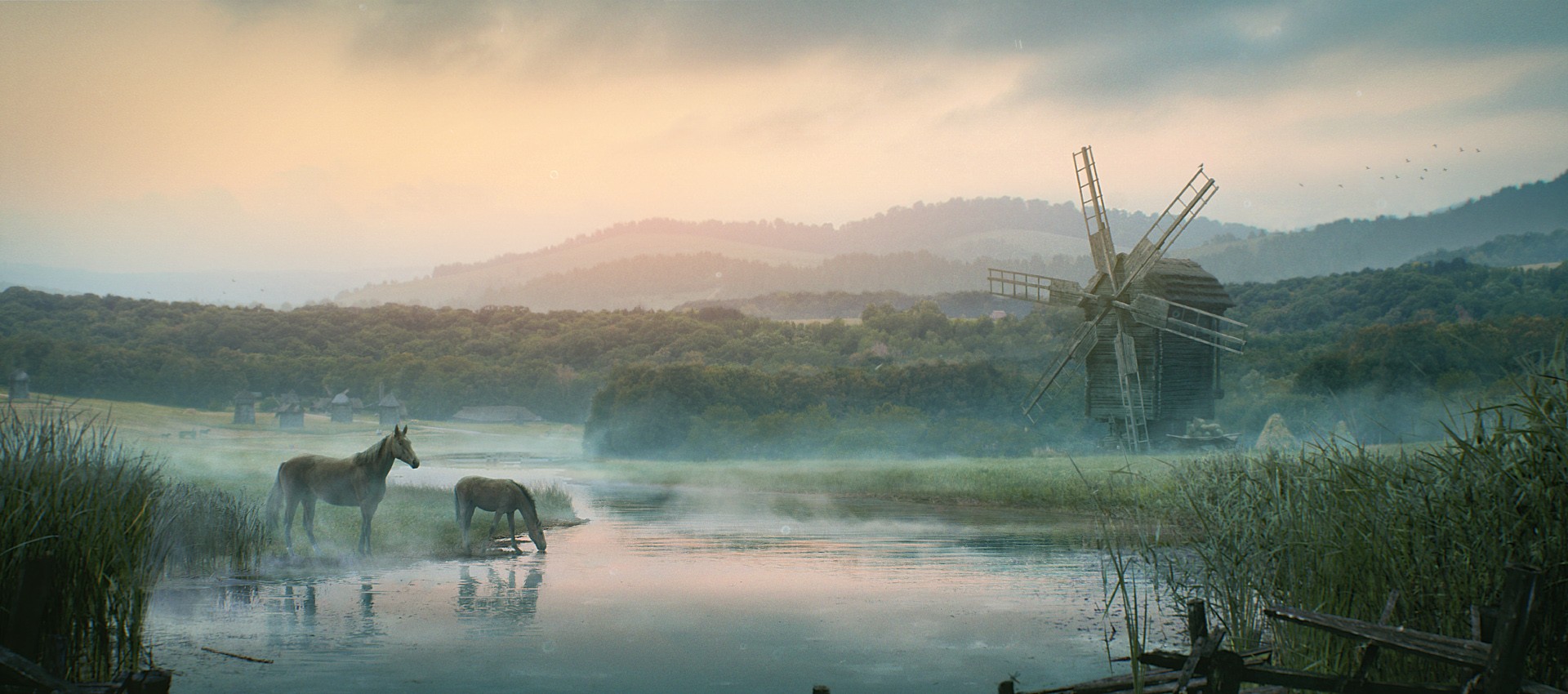 Horses by a river with a windmill in Ukraine HD Wallpaper