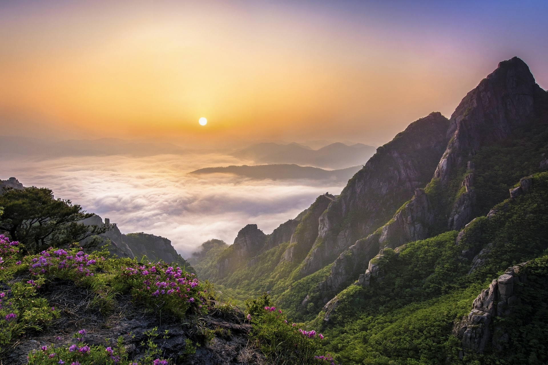 Sunrise over a misty mountain valley in South Korea HD Wallpaper