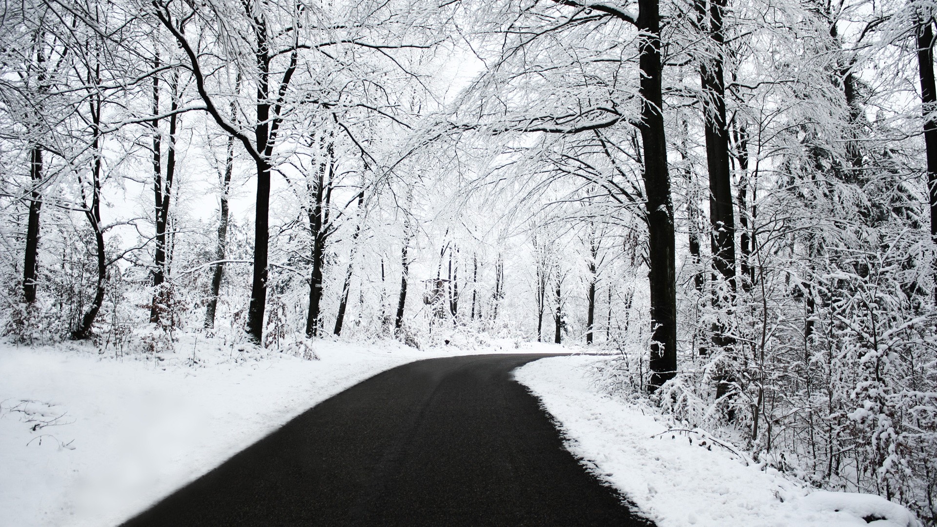 A snowy road winds through a winter forest HD Wallpaper