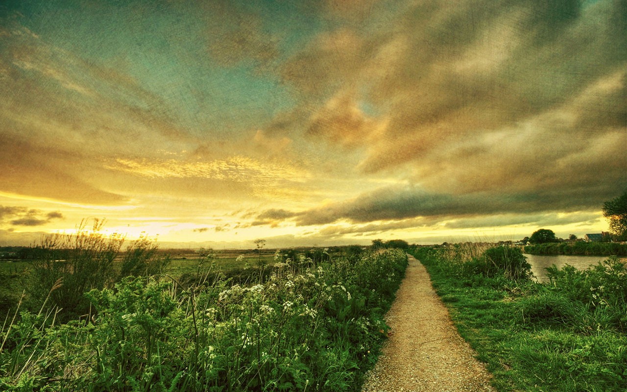 A path through a field at sunset HD Wallpaper