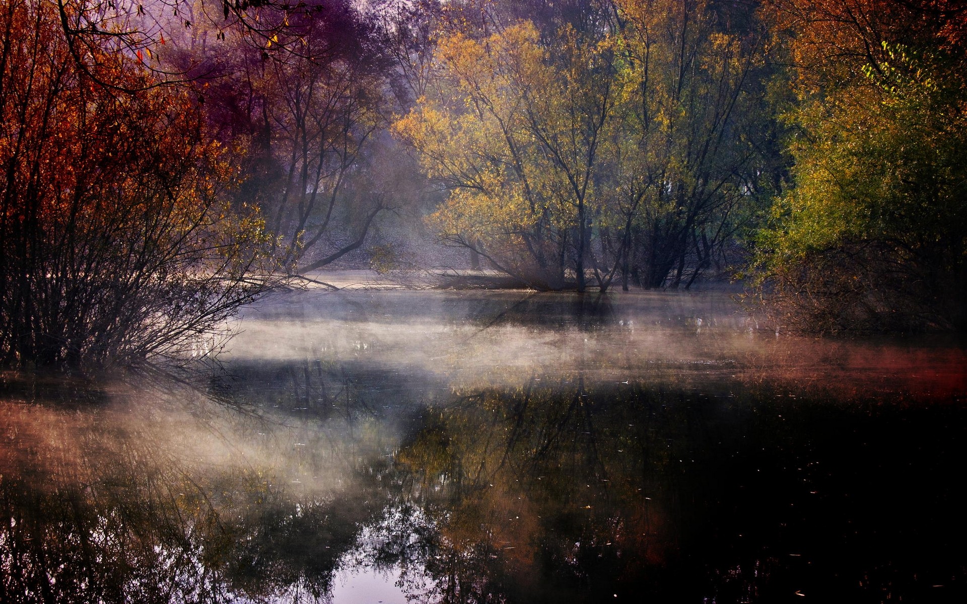 Misty lake surrounded by colorful autumn trees in Croatia HD Wallpaper