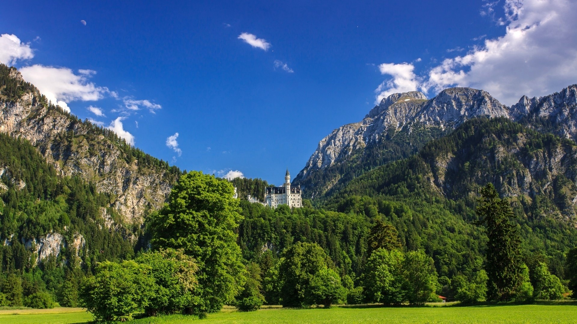 Neuschwanstein Castle in the Bavarian Alps HD Wallpaper