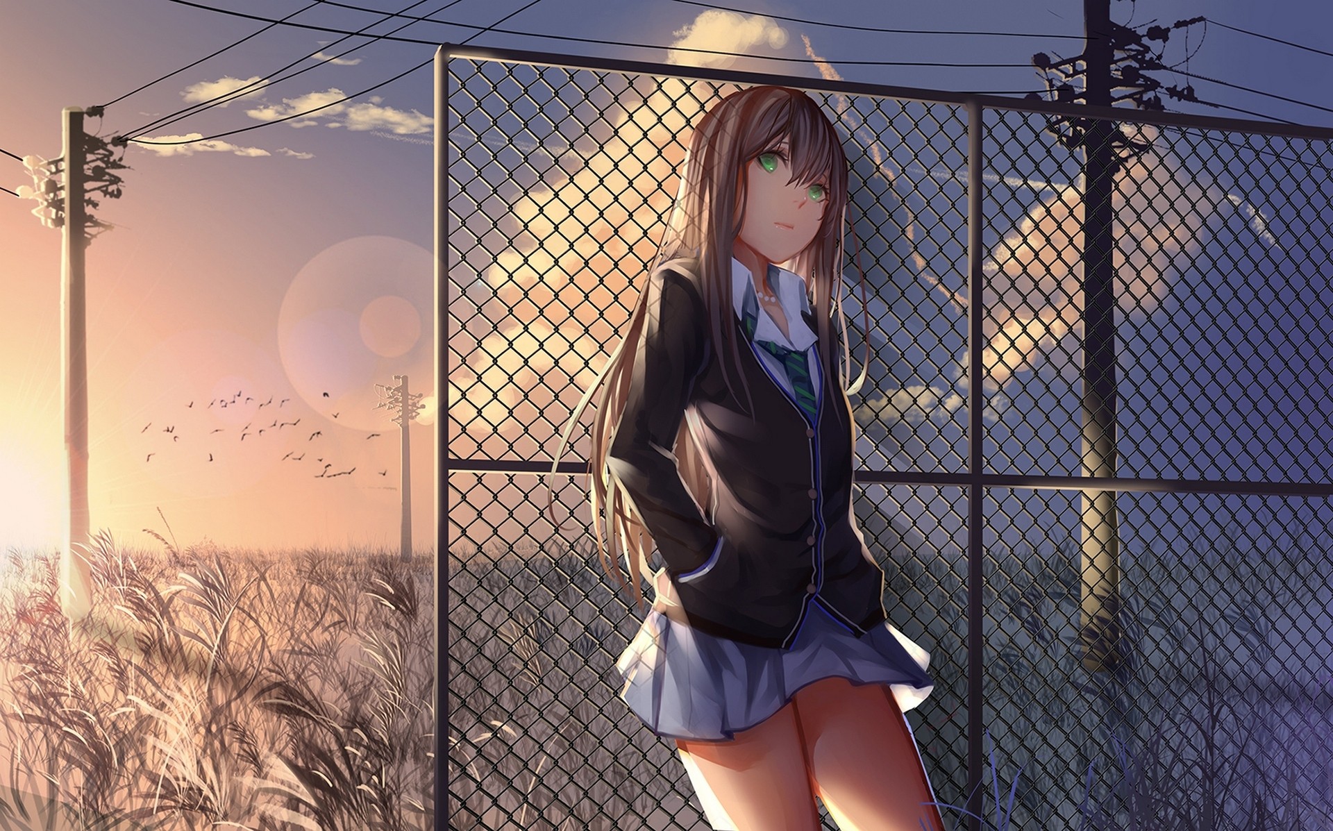 Shibuya Rin from THE iDOLM@STER: Cinderella Girls at sunset HD Wallpaper