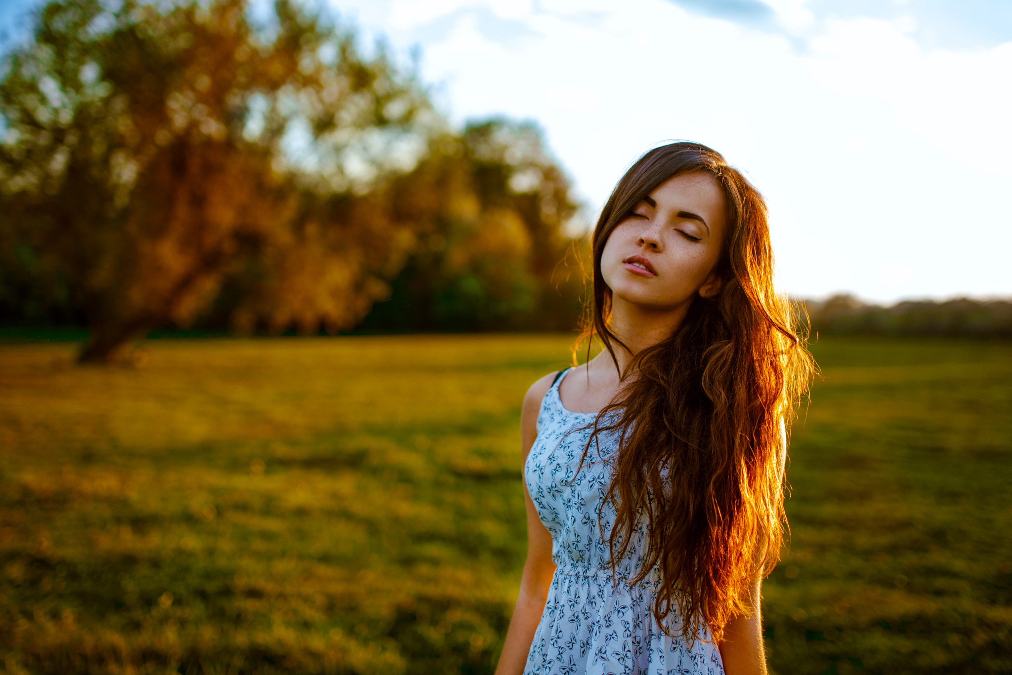 Woman in blue dress in a field at sunset HD Wallpaper