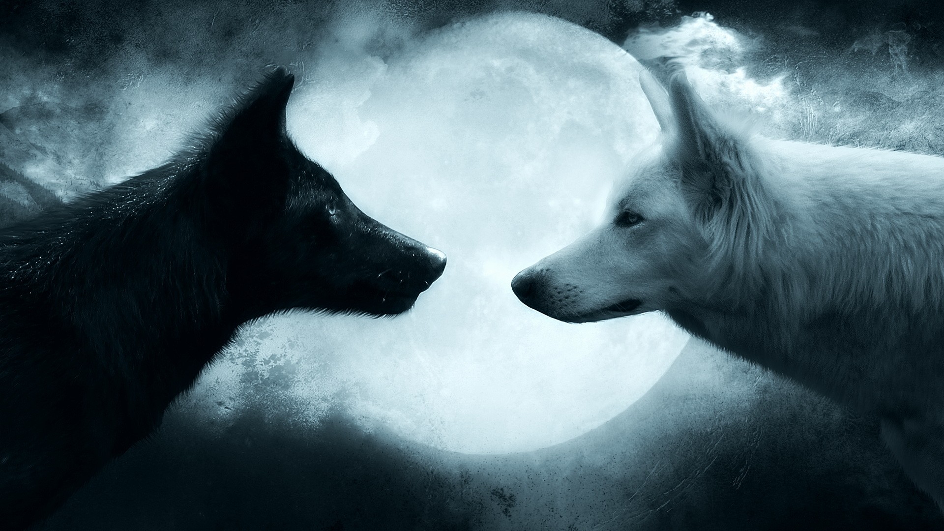 couple, wolf HD Wallpaper