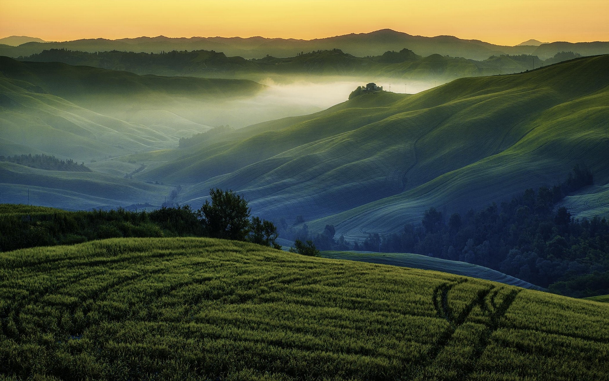 Rolling green hills with mist at sunrise HD Wallpaper