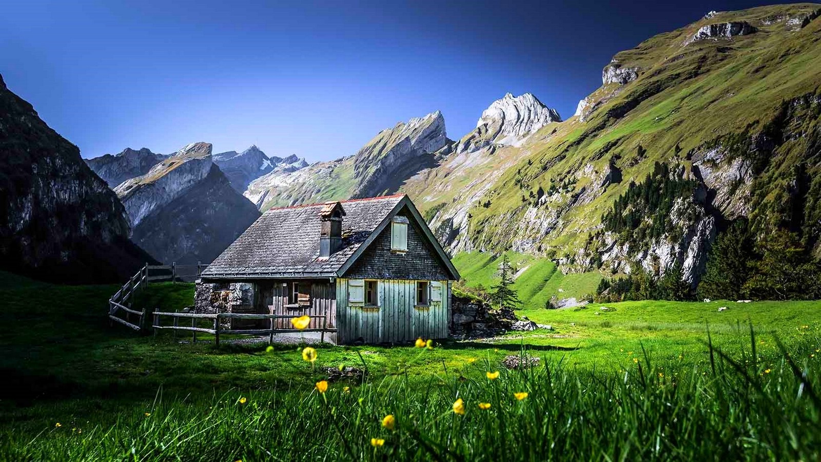 Cabin in the mountains with wildflowers and fence HD Wallpaper