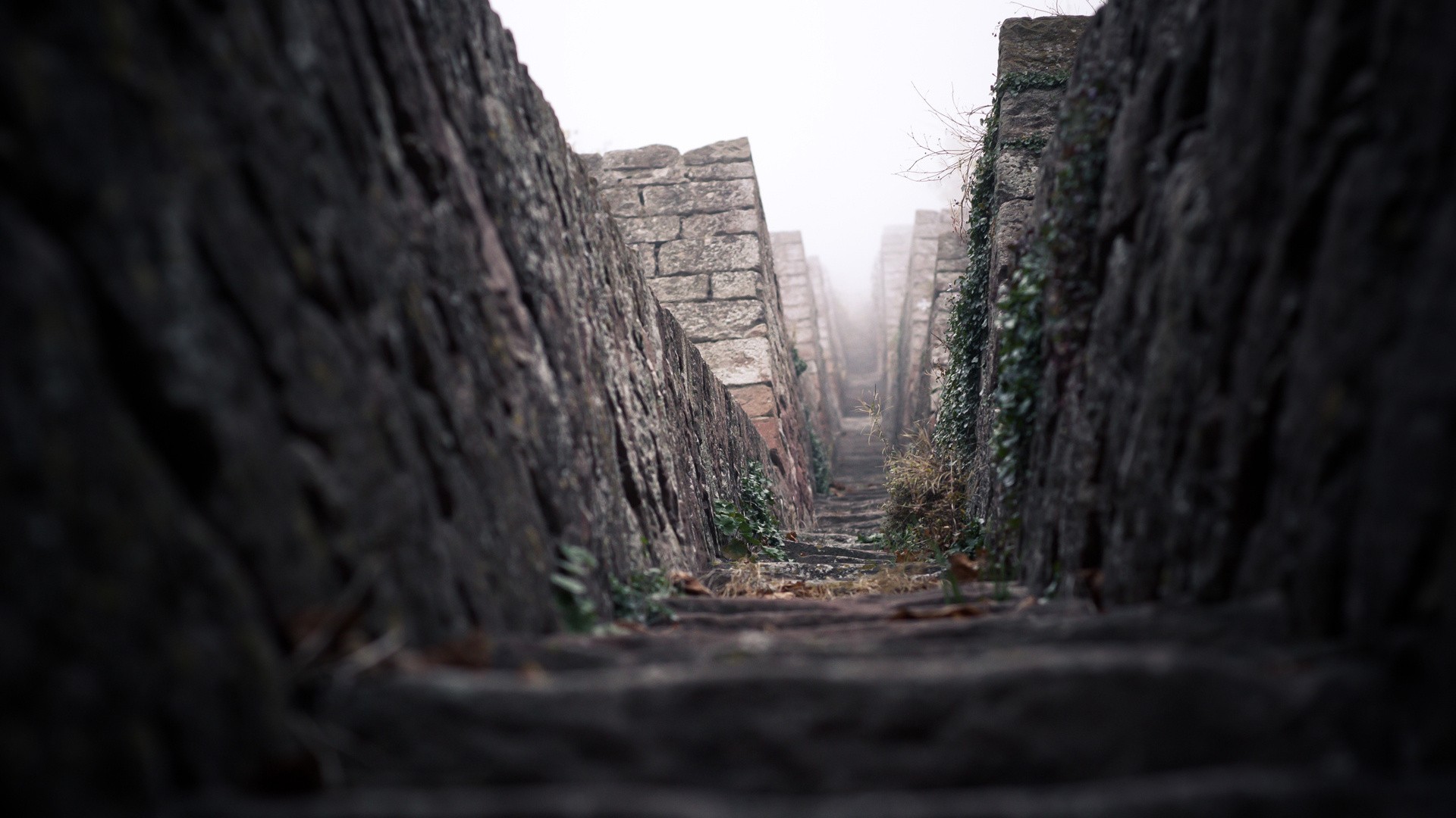 Stone stairs leading up into the fog HD Wallpaper