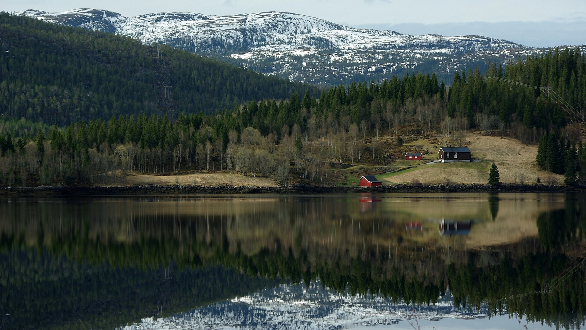Houses by a lake with snow-capped mountains and forest HD Wallpaper