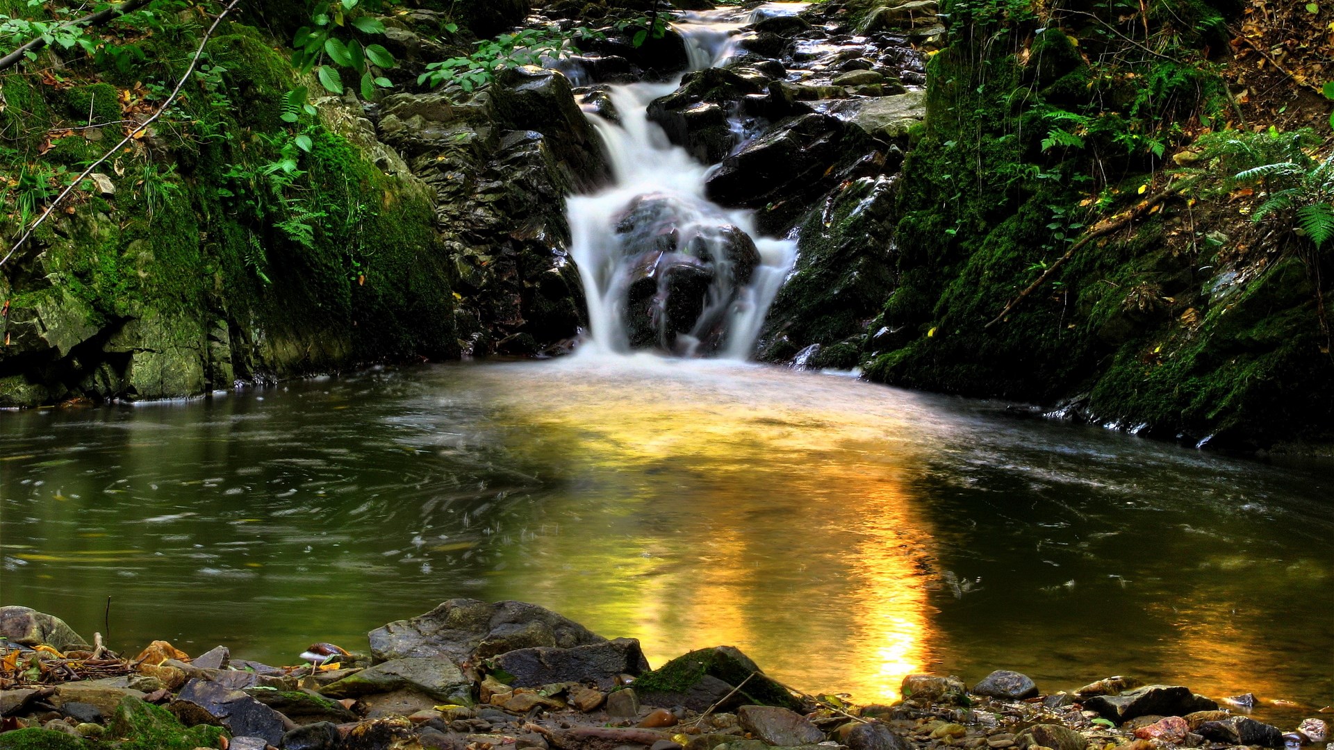 Waterfall cascading into a pool in a forest HD Wallpaper