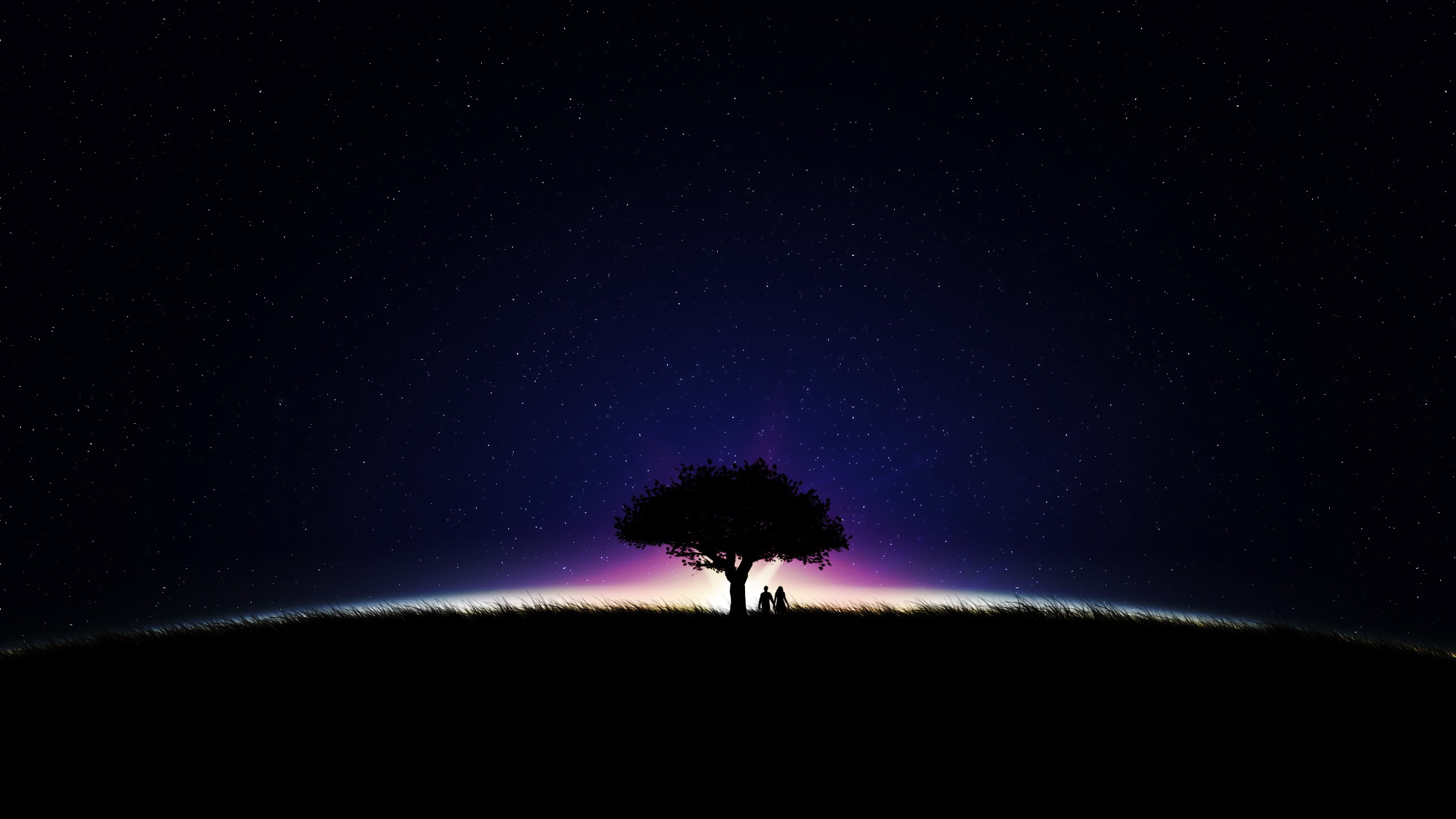 Couple under a tree at night with stars HD Wallpaper