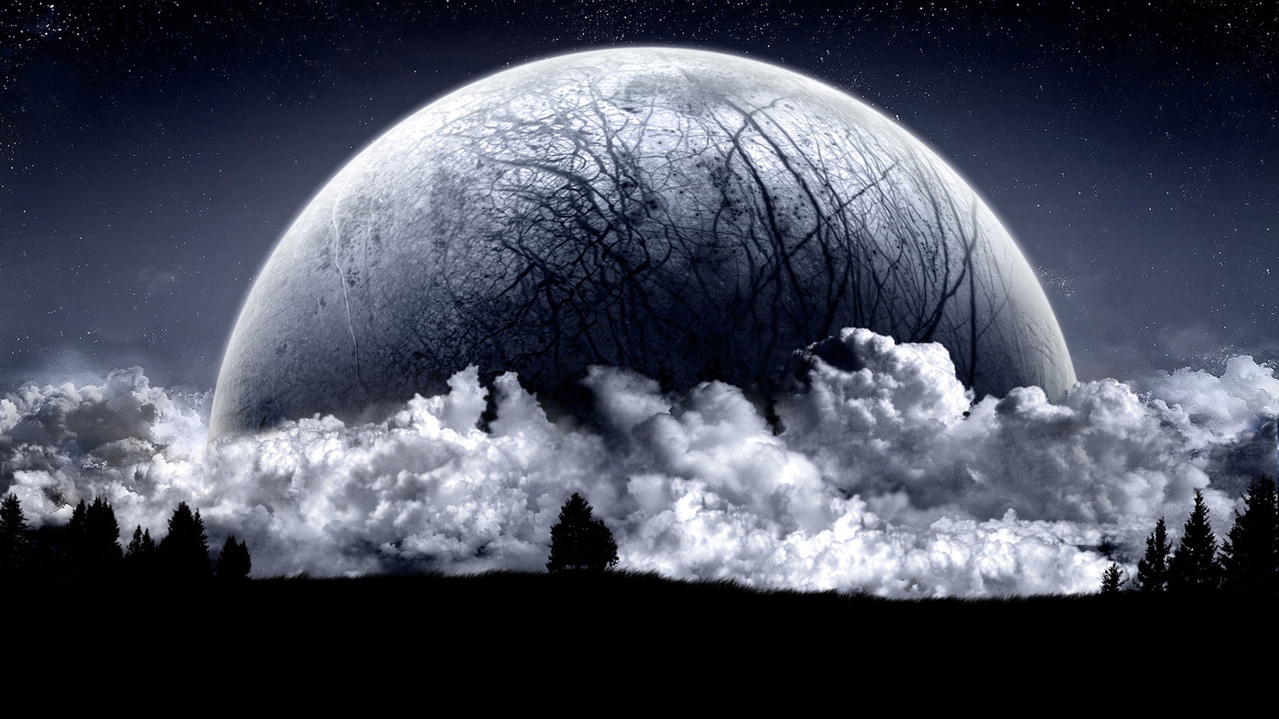 Giant moon rising over clouds and trees HD Wallpaper
