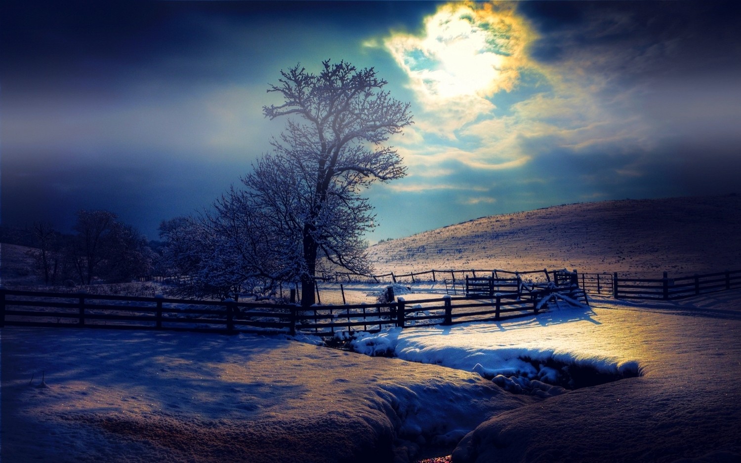 Winter landscape with snow-covered trees and a fence HD Wallpaper