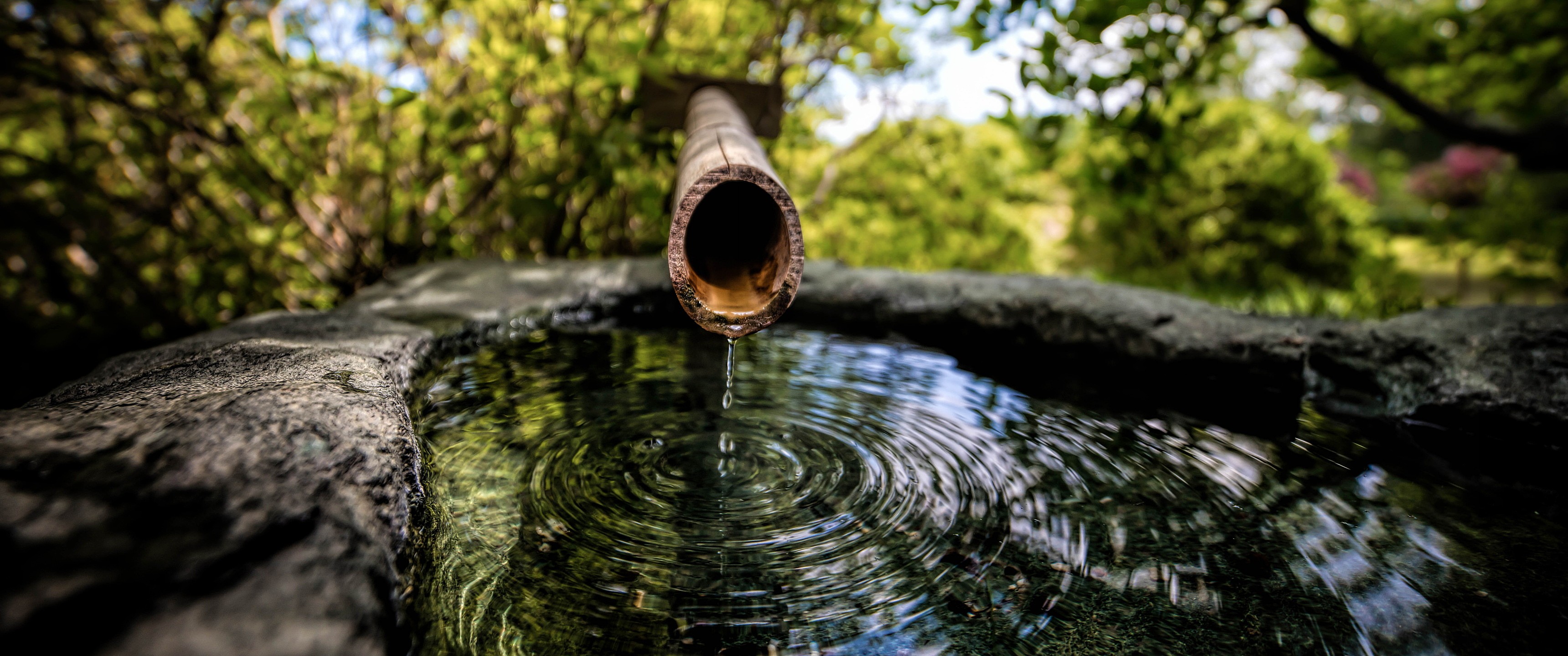 Water dripping from bamboo into a stone basin HD Wallpaper