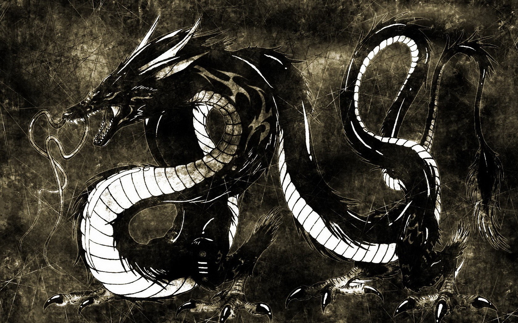 Black dragon with white markings on a textured background HD Wallpaper