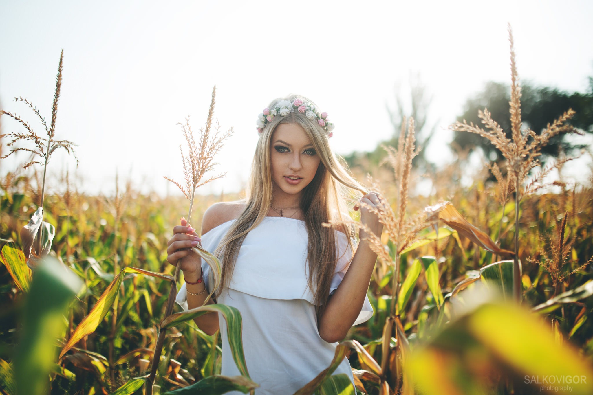Woman with flower crown in cornfield HD Wallpaper