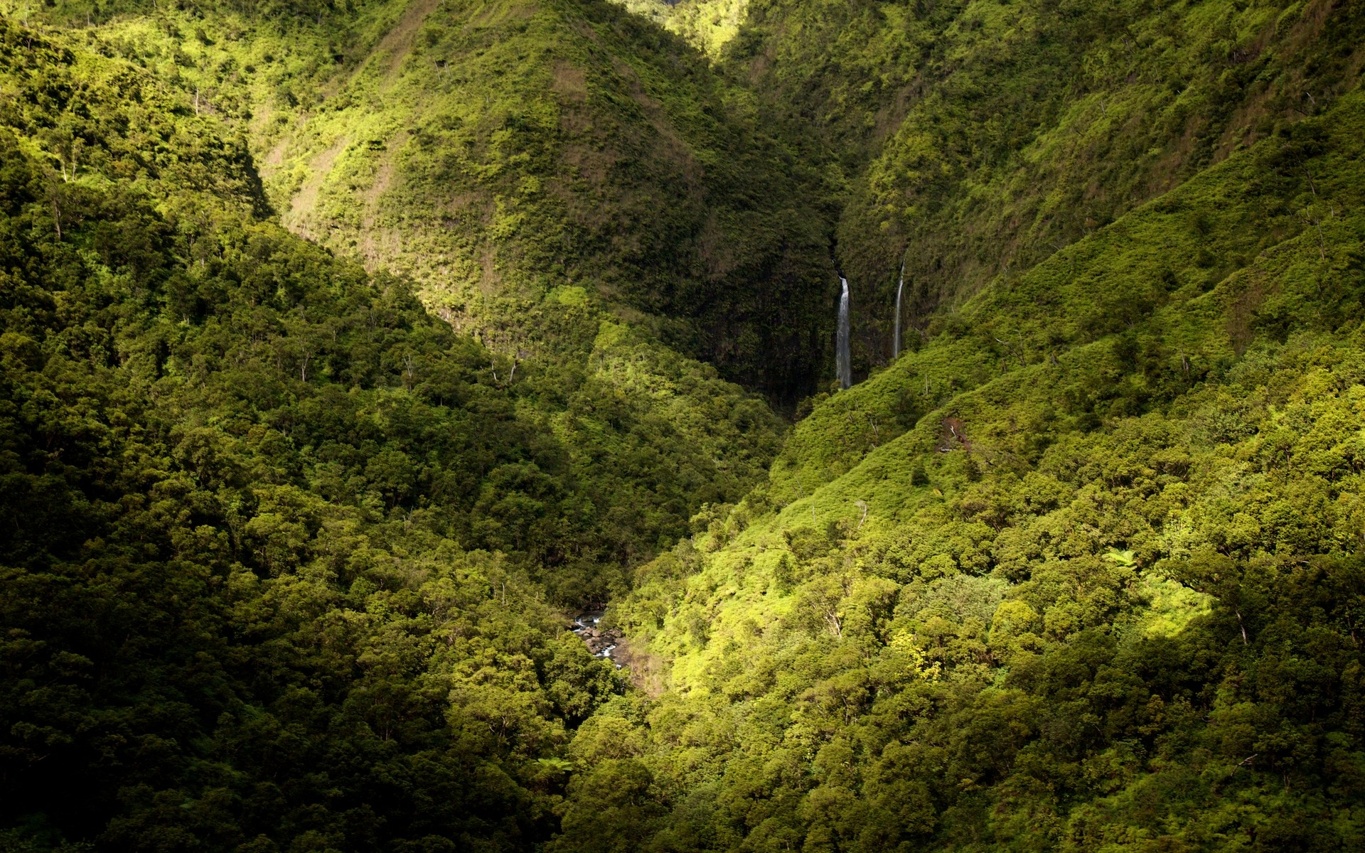 Waterfalls in a lush green valley on Kauai HD Wallpaper