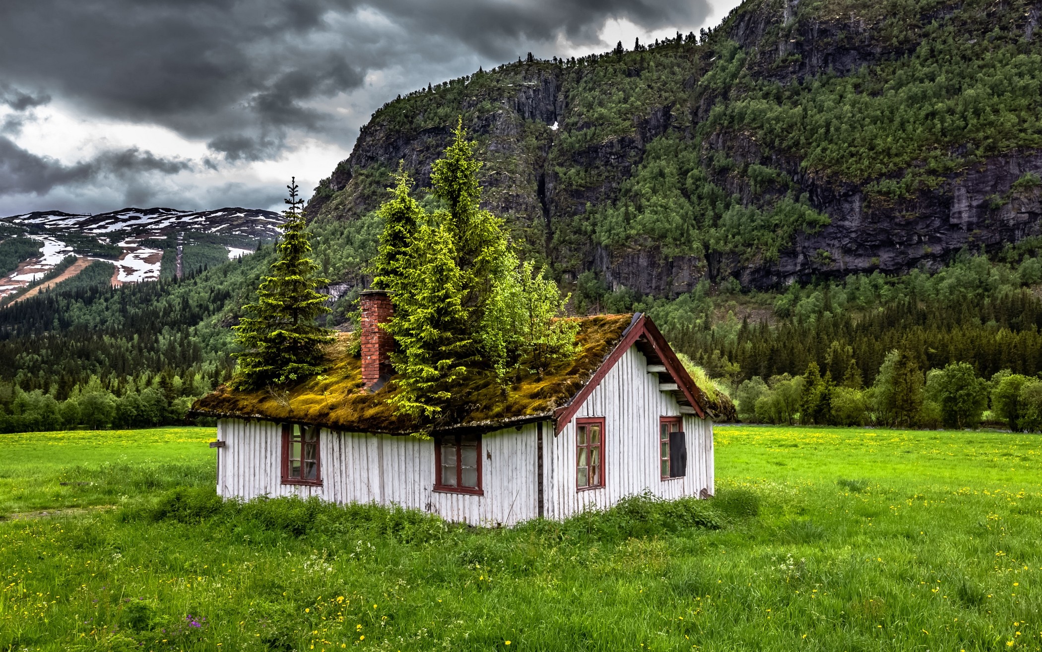 Abandoned house with mossy roof in Norway mountains HD Wallpaper