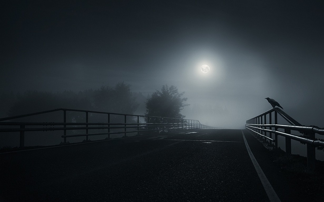 Crow on a bridge at night under the moon HD Wallpaper