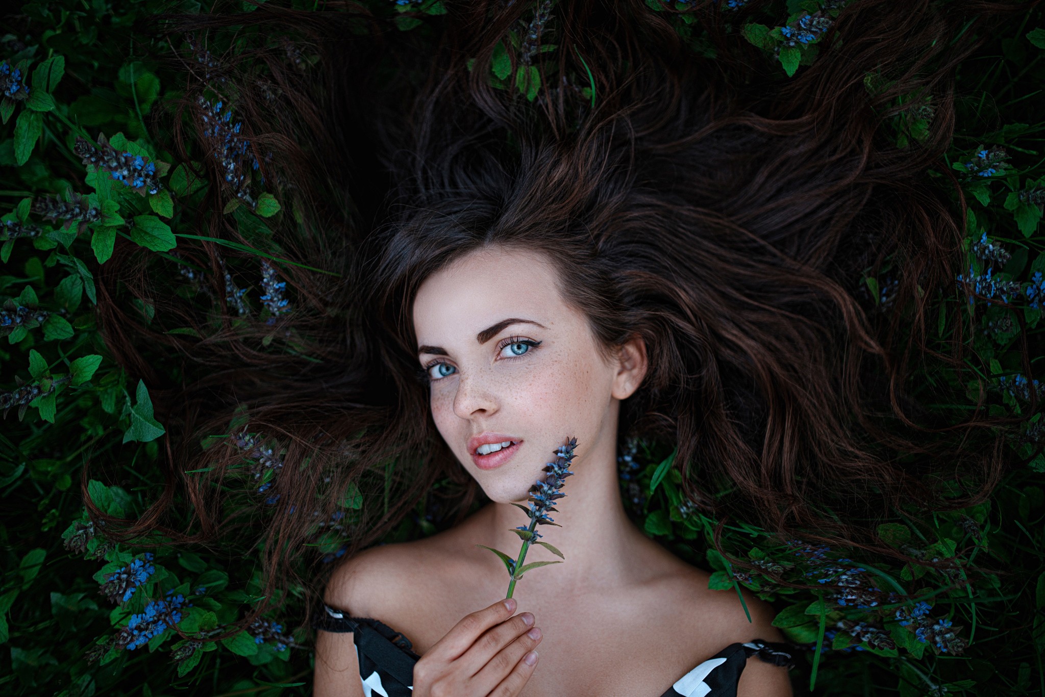 Woman with blue eyes lying in flowers HD Wallpaper