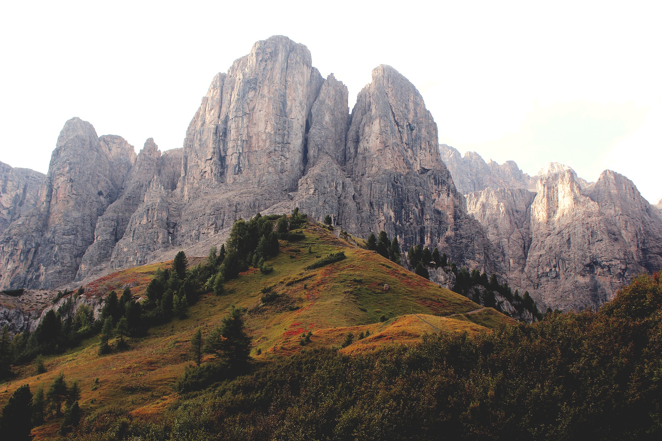 Mountain range with grassy hills and trees HD Wallpaper