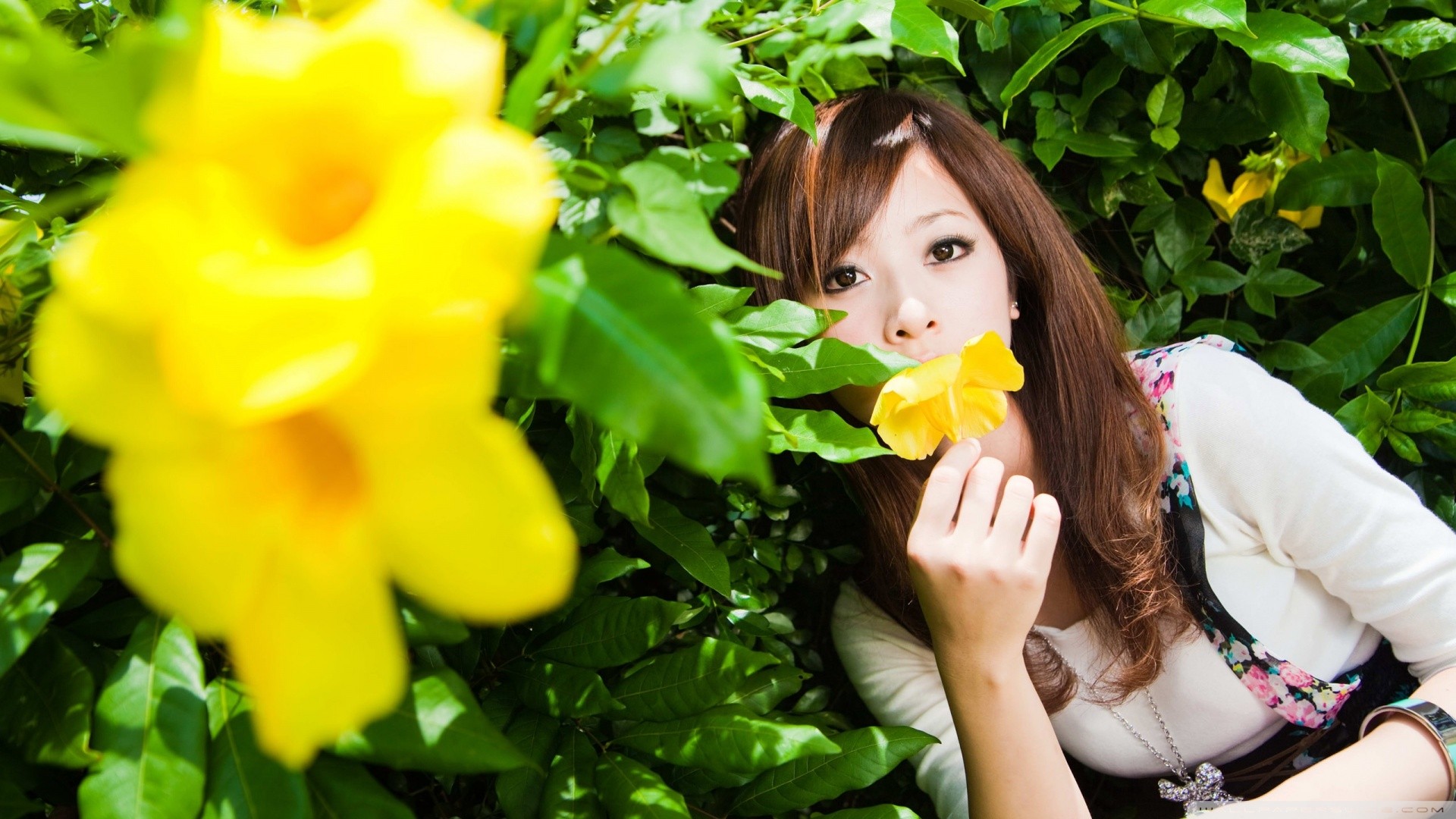 Asian woman Mikako Zhang Kaijie with yellow flowers HD Wallpaper