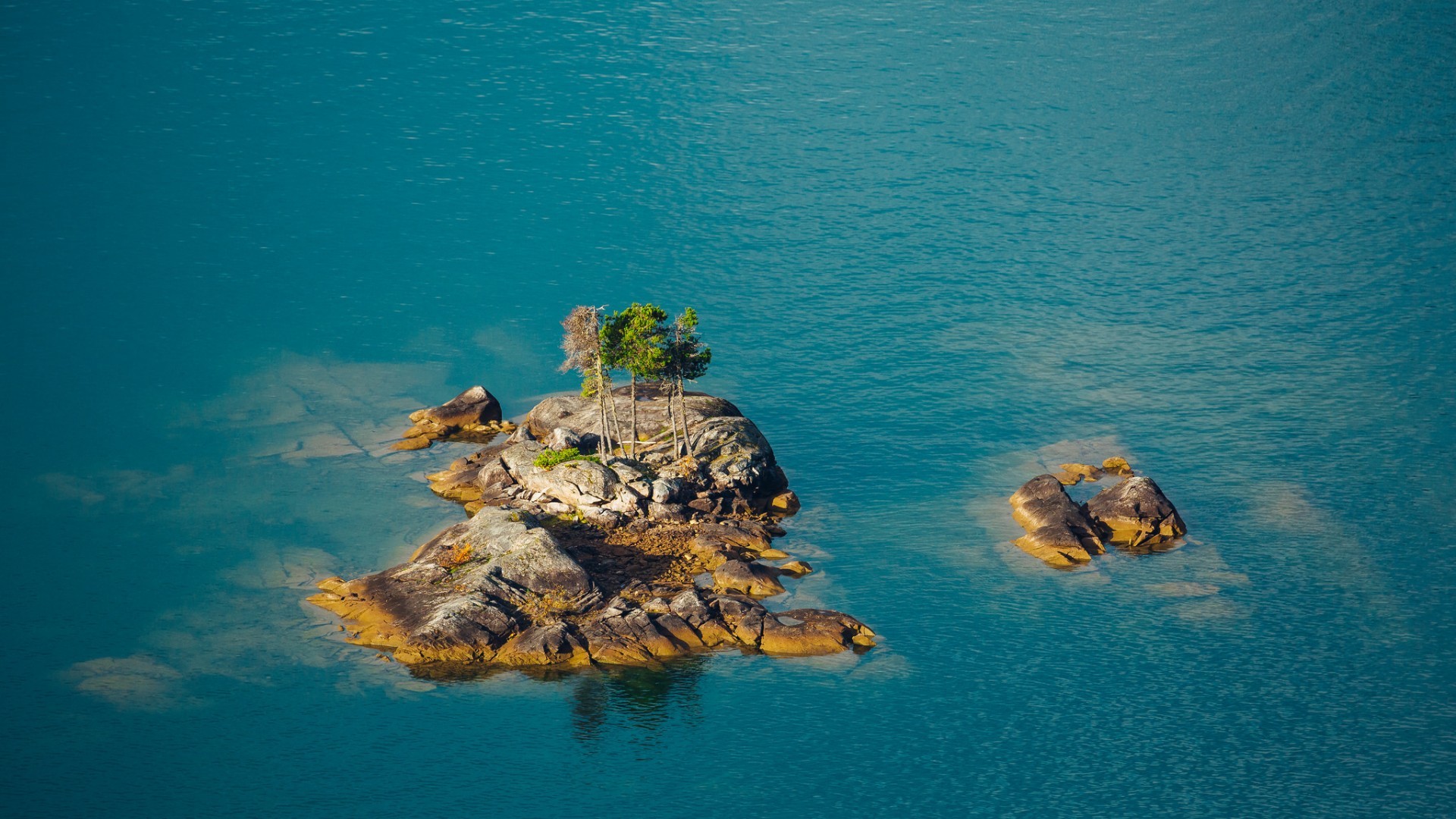 Aerial view of a small island with trees in blue water HD Wallpaper