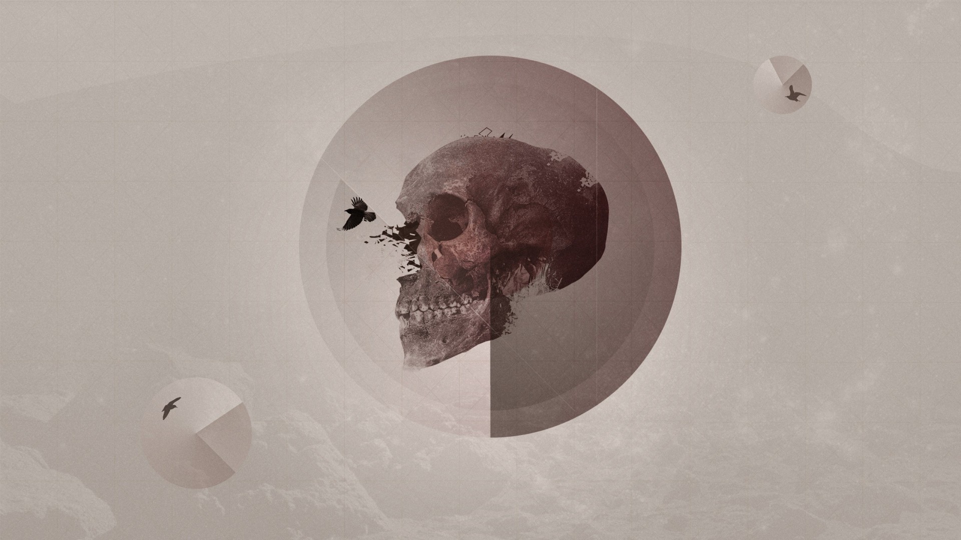 Skull with birds and geometric circles HD Wallpaper