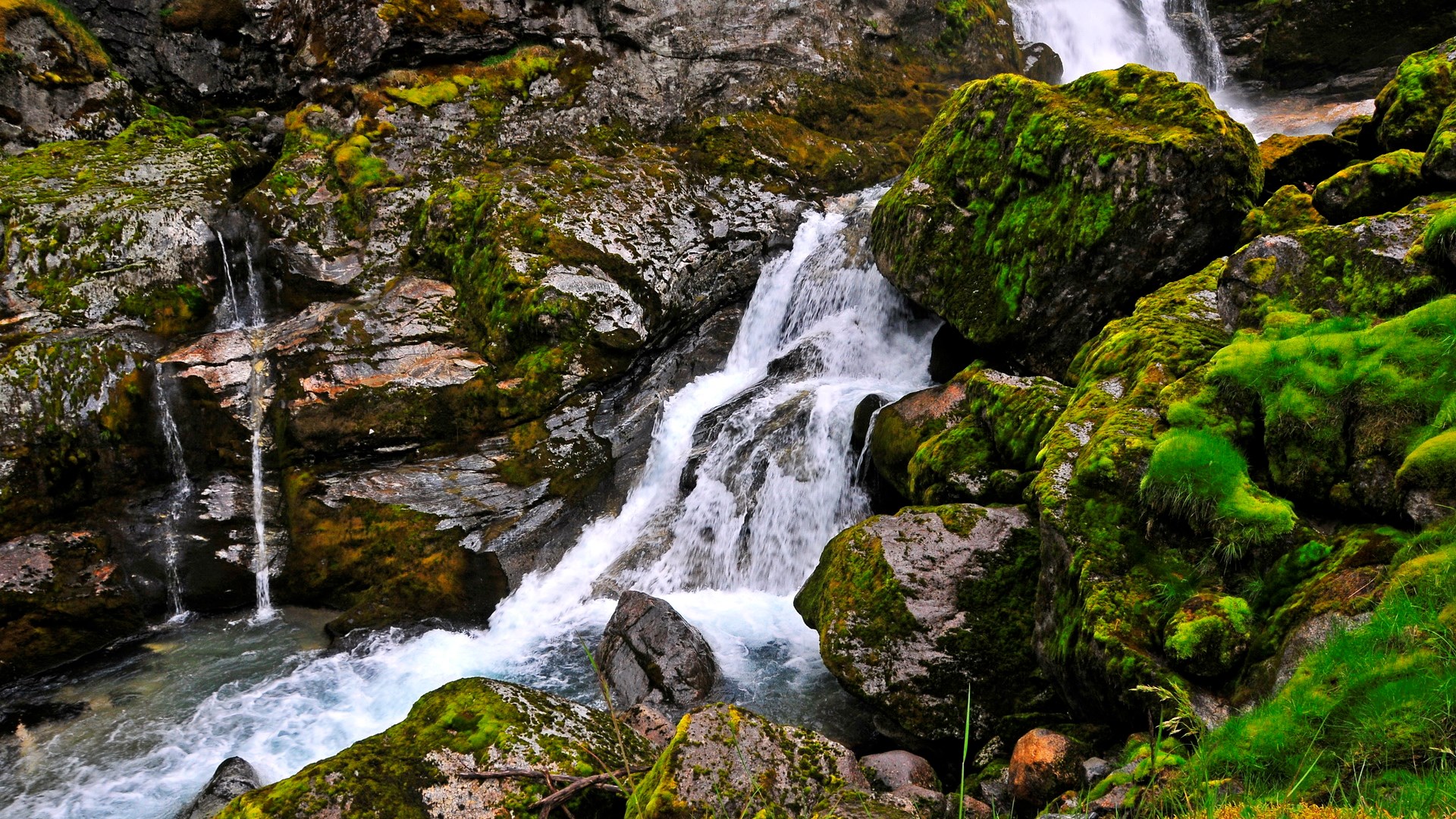 Mossy rocks and a cascading waterfall in a rocky gorge HD Wallpaper