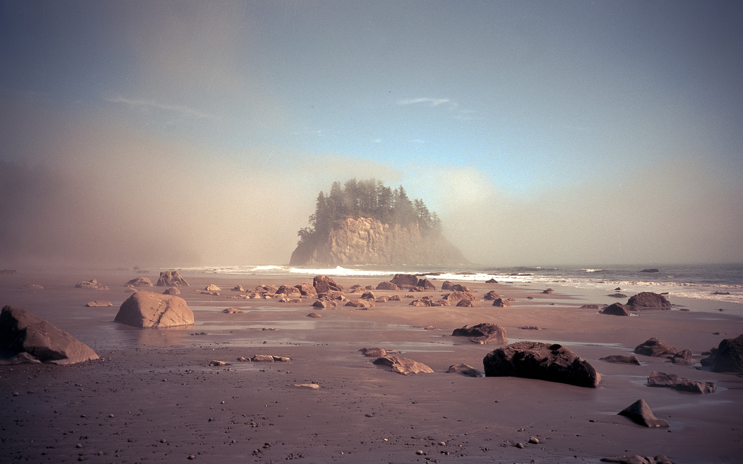 Misty island with pine trees and rocky beach HD Wallpaper