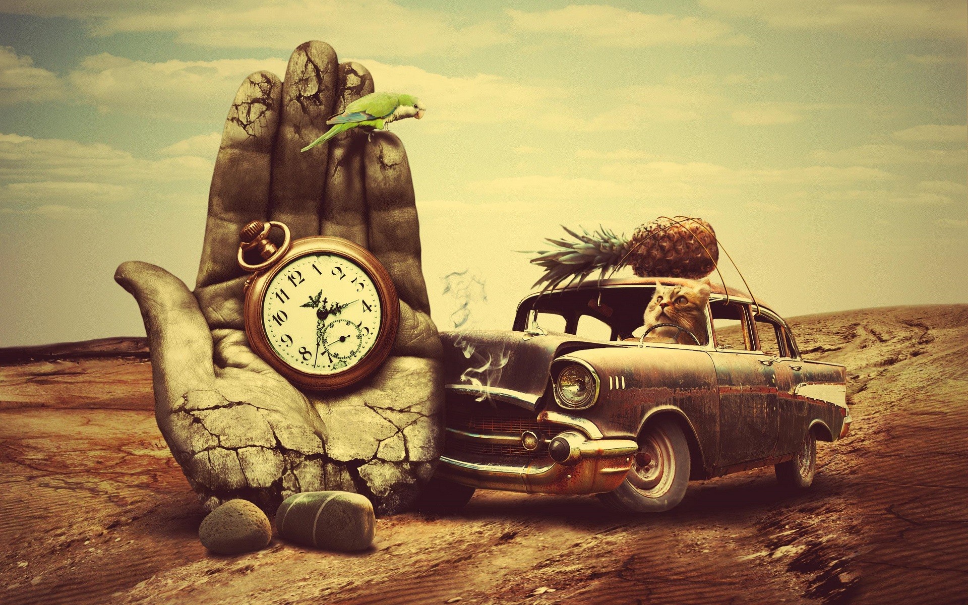Surreal desert scene with a cat driving an old car HD Wallpaper