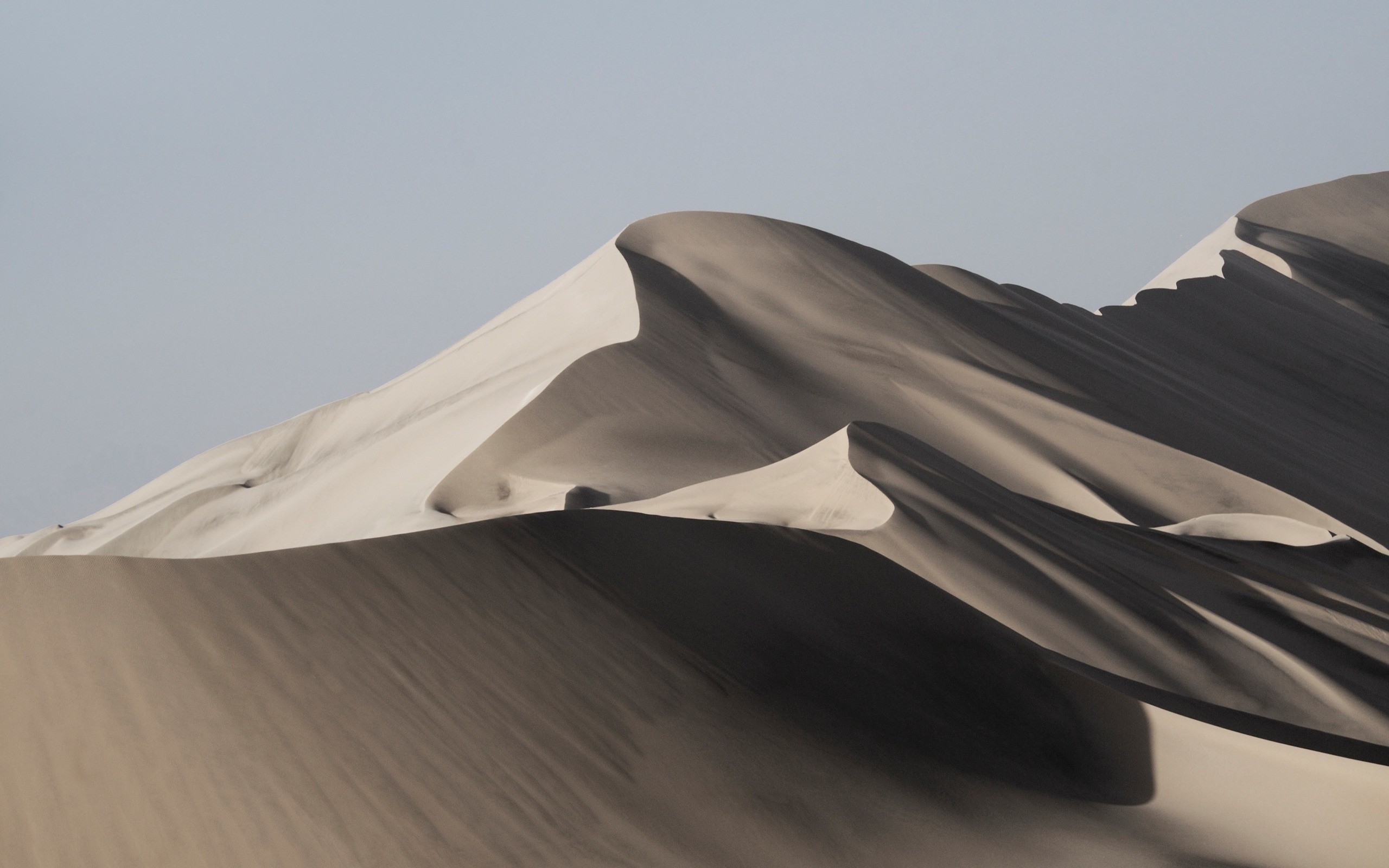 Sand dunes under a clear sky HD Wallpaper