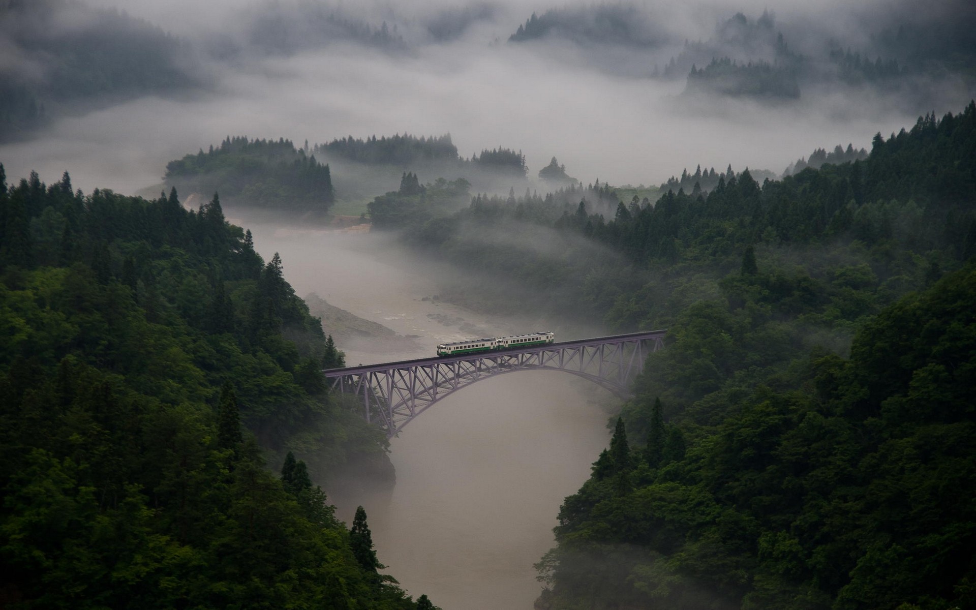 Train crossing a bridge in a misty forest HD Wallpaper