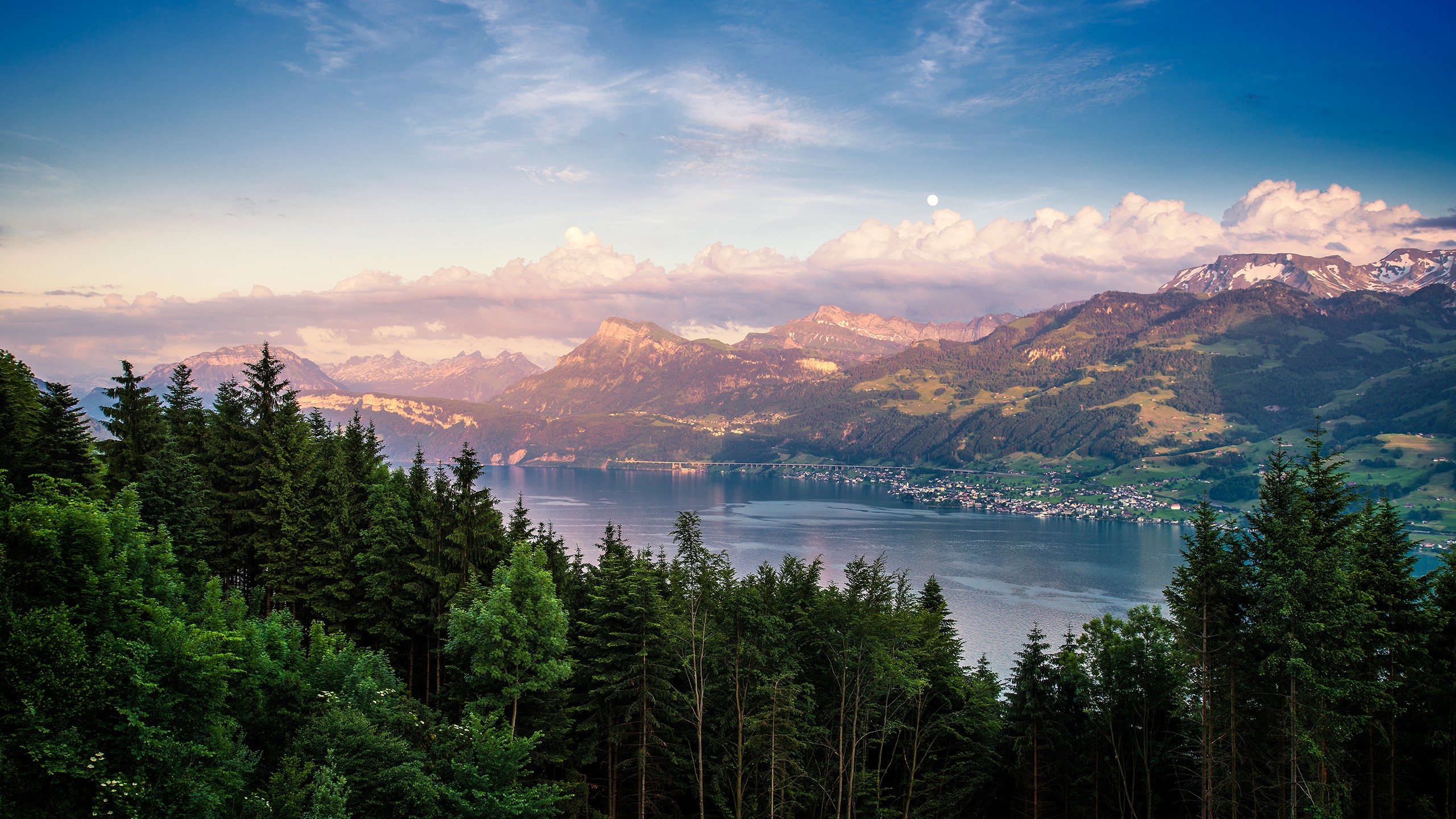 Lake and mountains in Switzerland with forest foreground HD Wallpaper