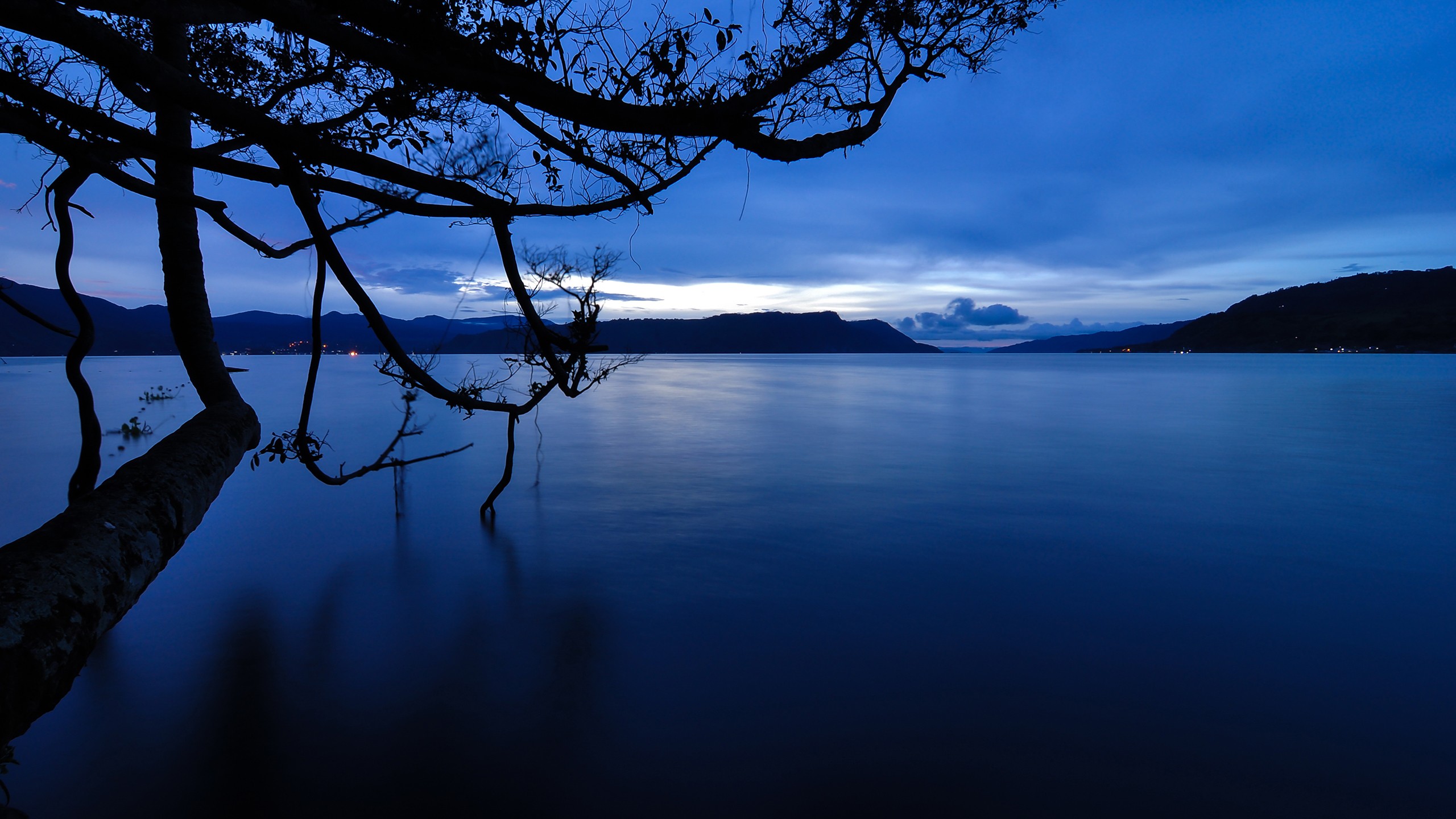 Silhouette of tree branches over a calm lake at dusk HD Wallpaper