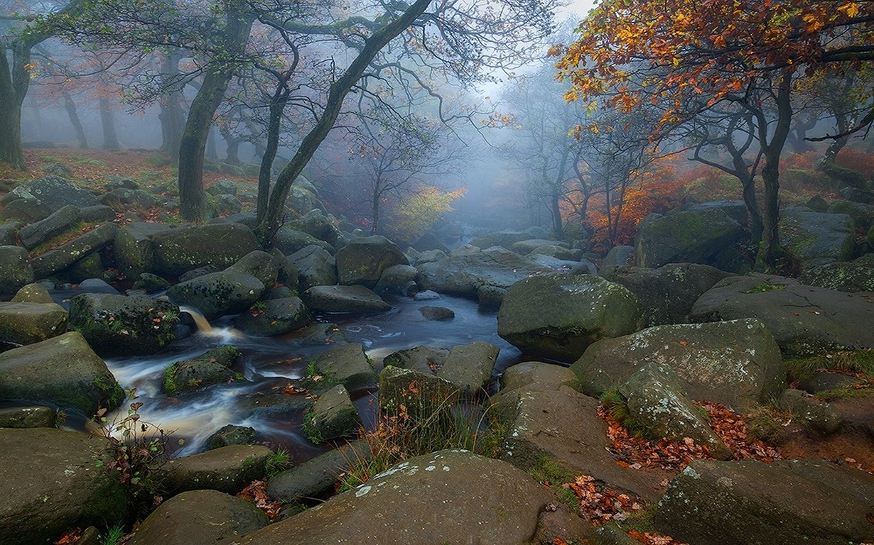 Misty forest river with rocks and autumn leaves HD Wallpaper