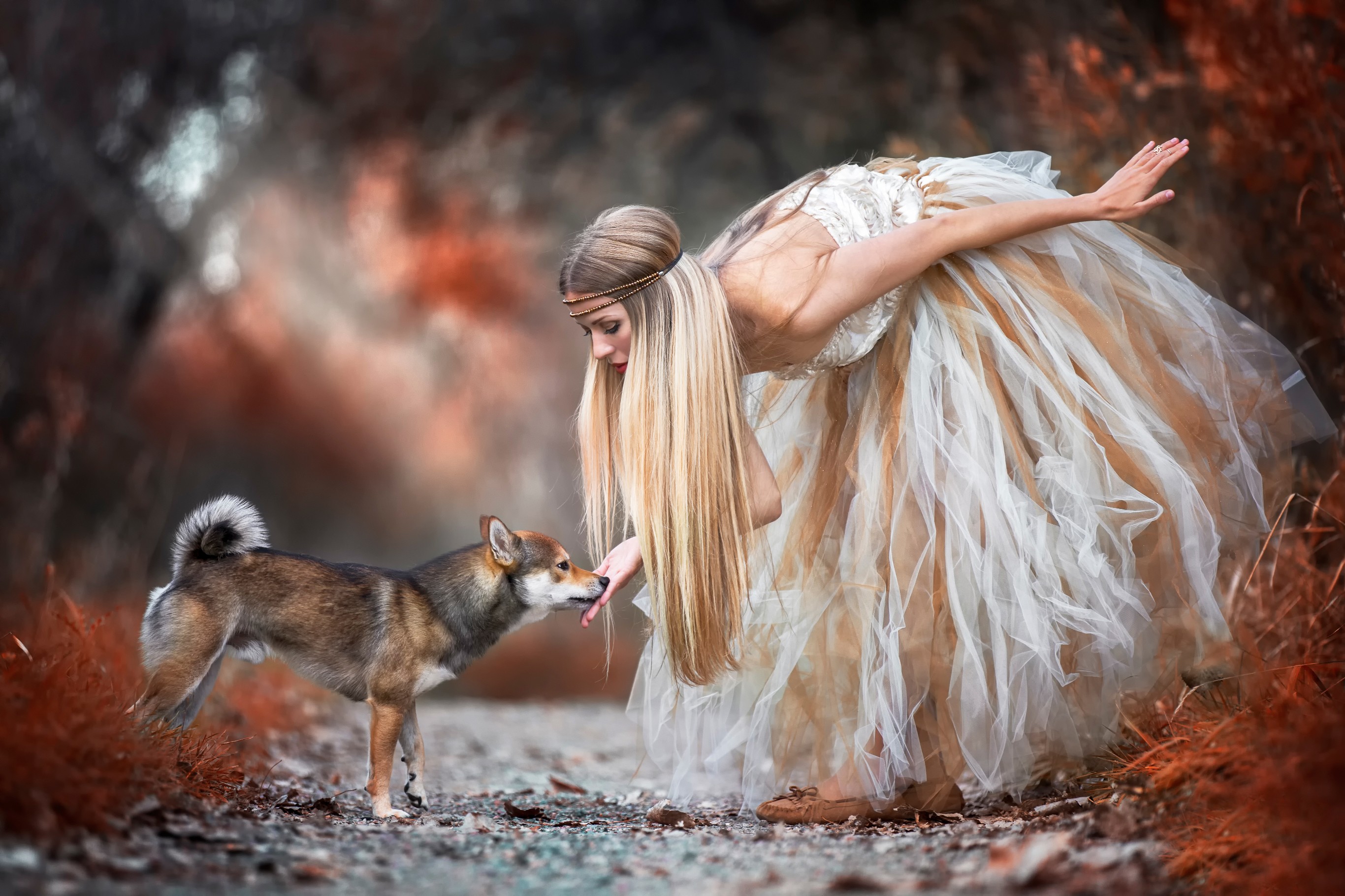 Woman in a flowing dress interacting with a dog HD Wallpaper