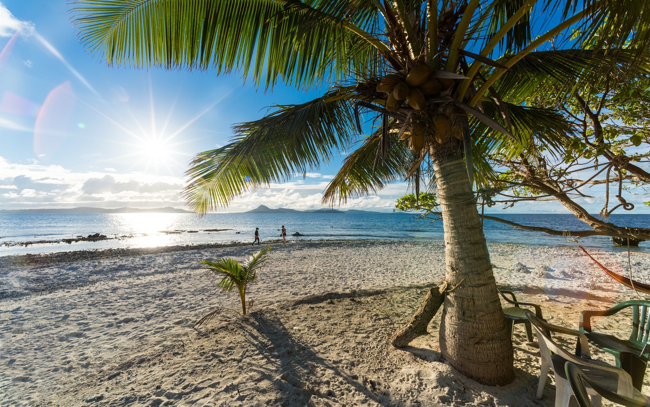 Tropical island beach with palm trees and sun rays HD Wallpaper