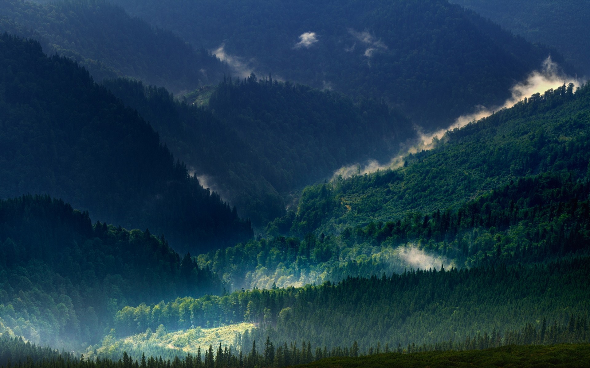 Misty mountains and green forests in the Carpathians HD Wallpaper