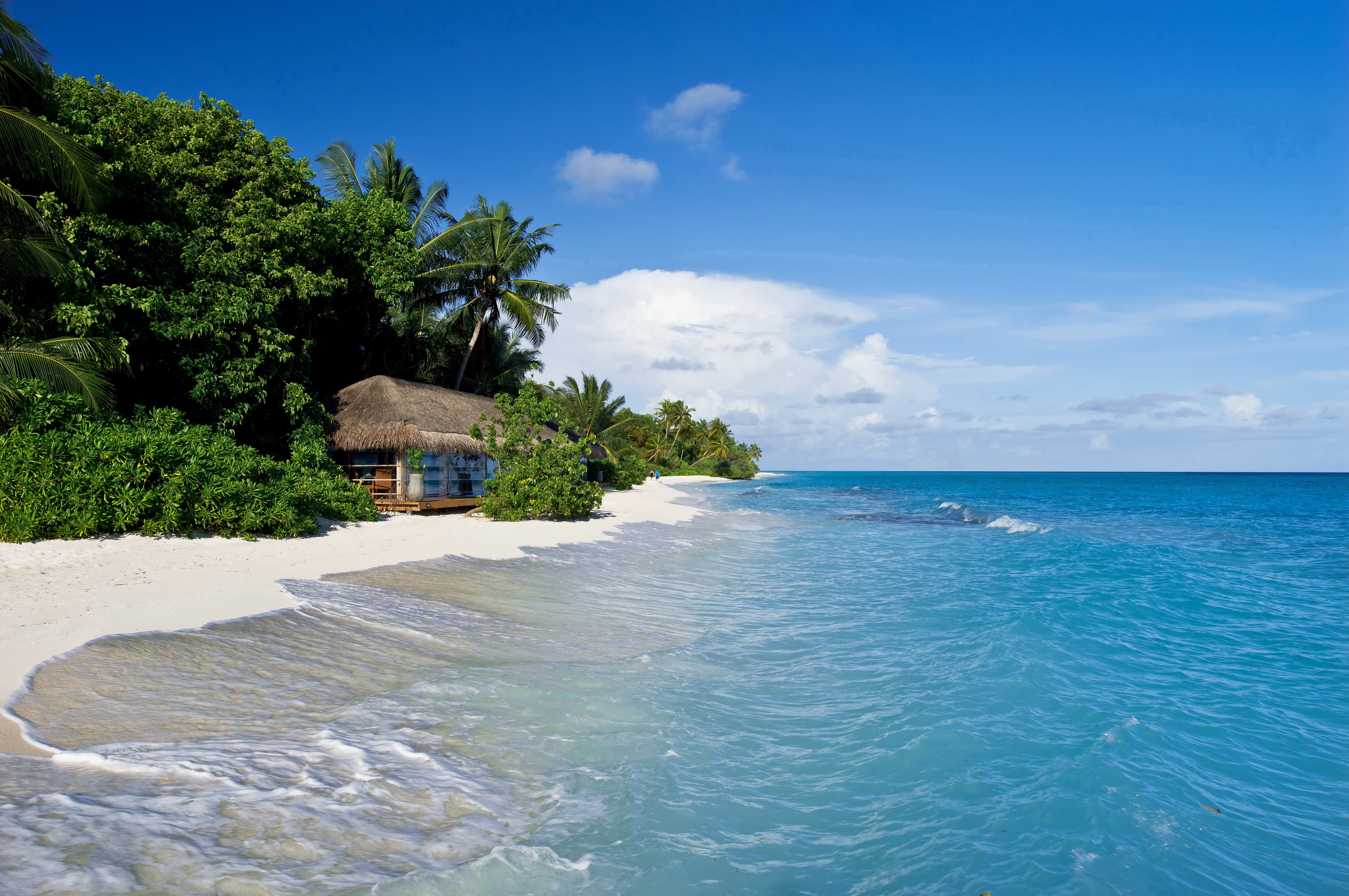 Tropical beach with a hut and palm trees HD Wallpaper