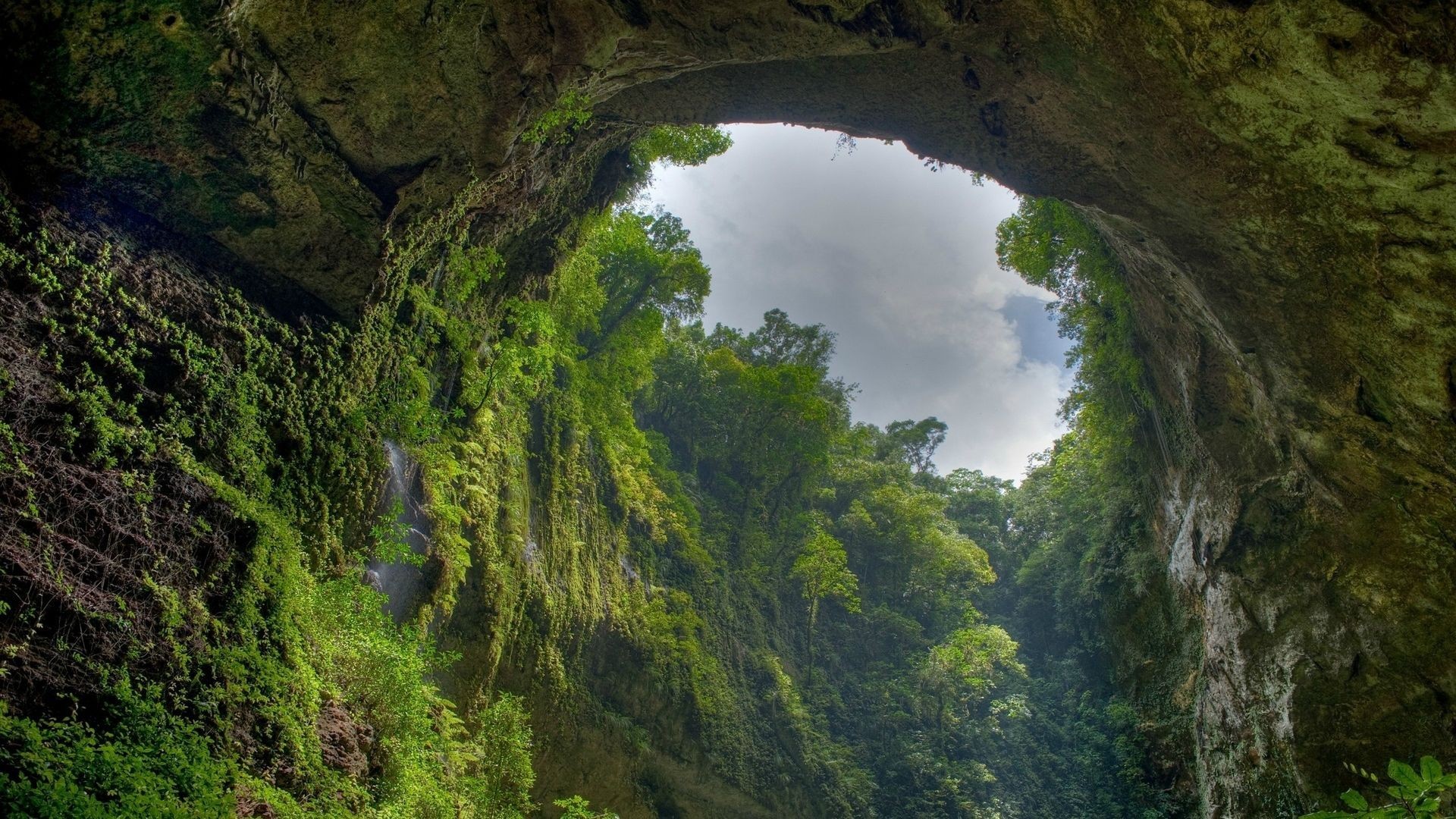 Cave entrance with lush green vegetation and sky HD Wallpaper