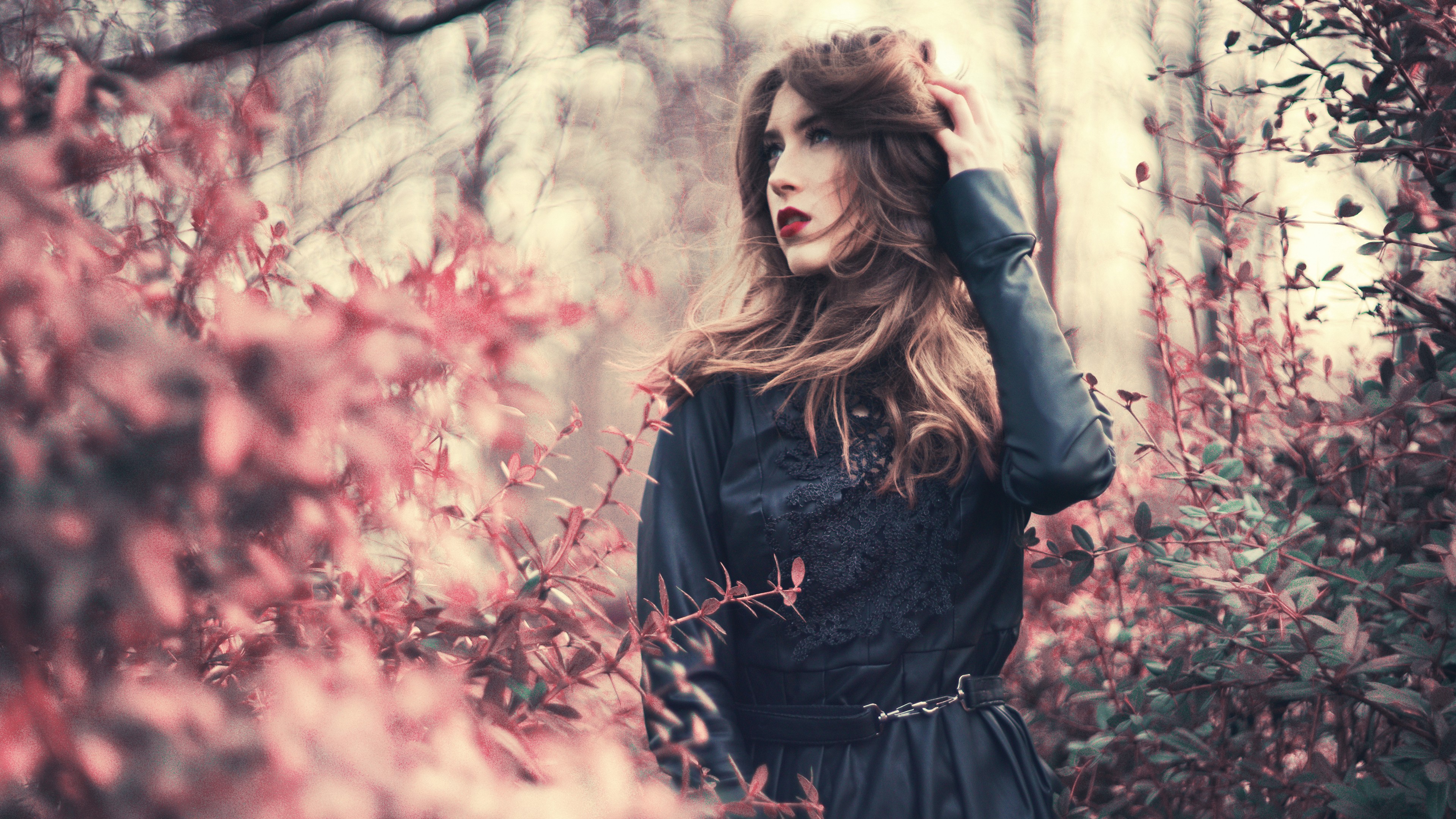 Brunette model in a black dress among pink bushes HD Wallpaper