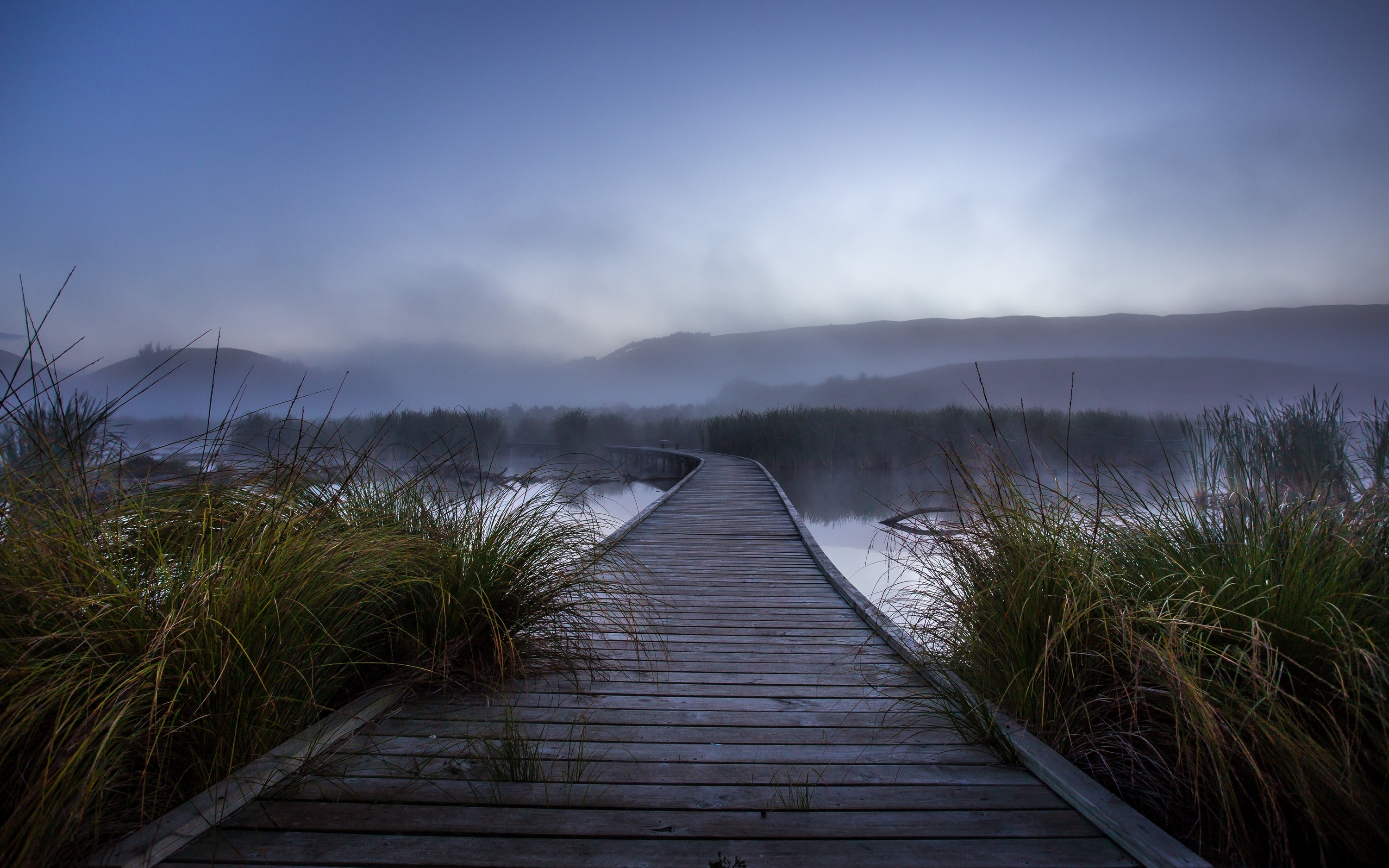 Wooden walkway through a misty wetland at dawn HD Wallpaper