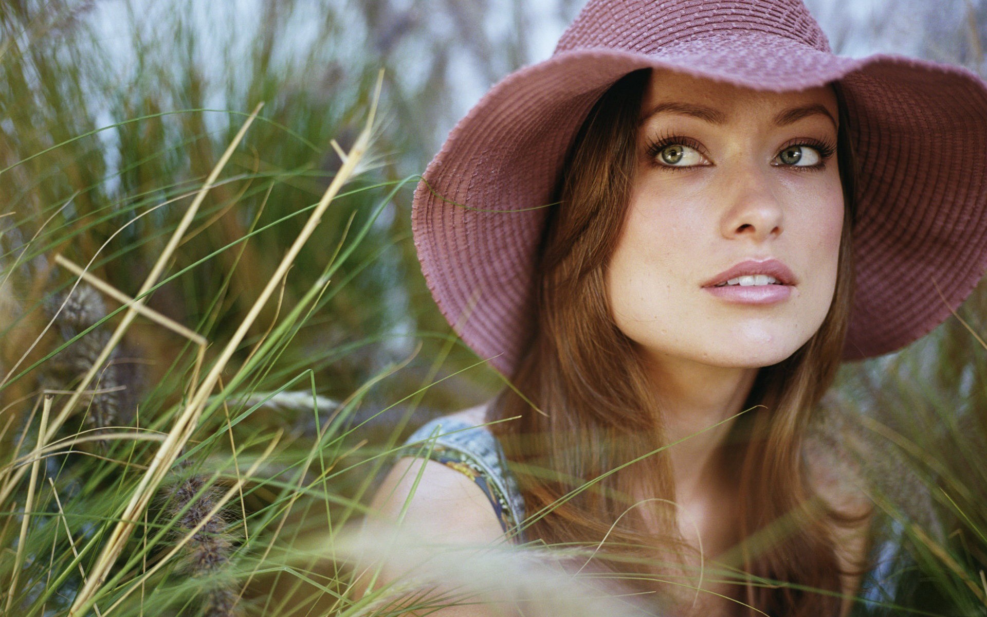 Olivia Wilde wearing a pink hat in tall grass HD Wallpaper