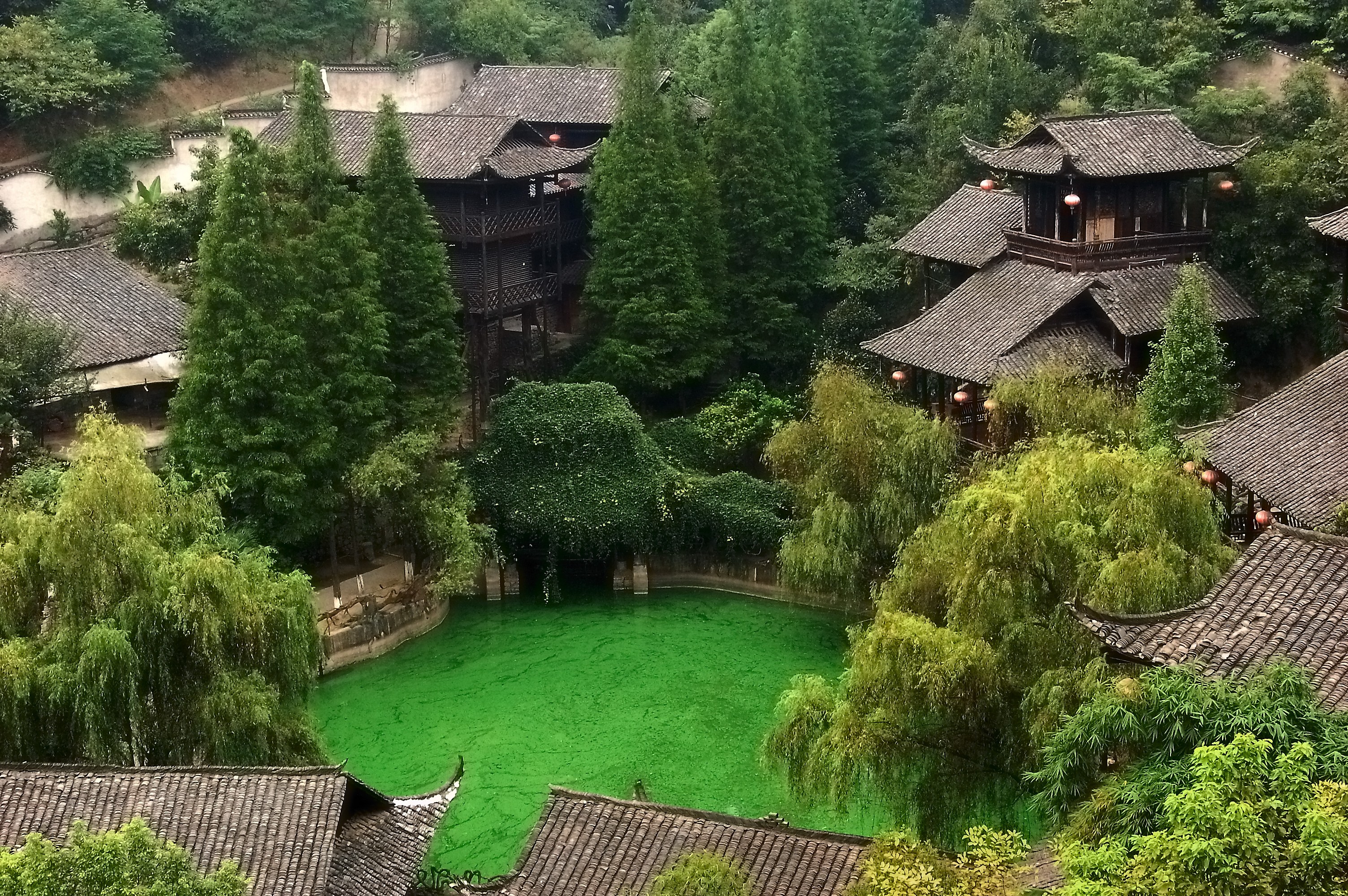 Traditional Chinese village with a bright green pond HD Wallpaper