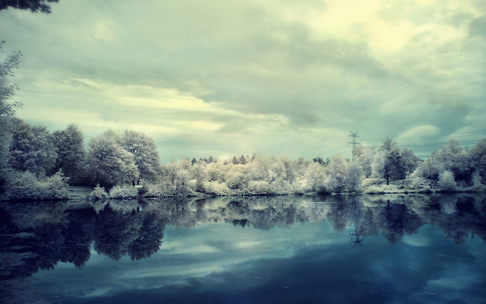 Lake with trees and power lines HD Wallpaper
